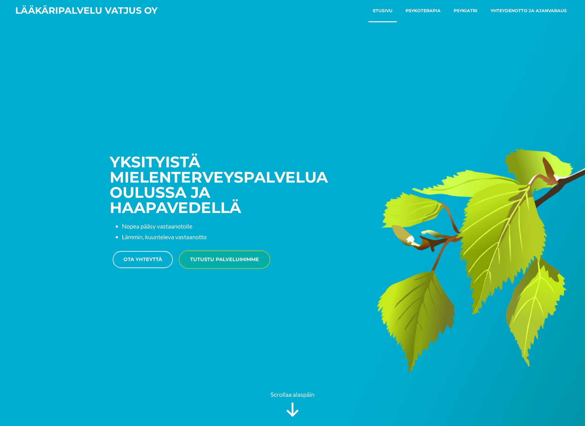 Screenshot for laakaripalveluvatjus.fi