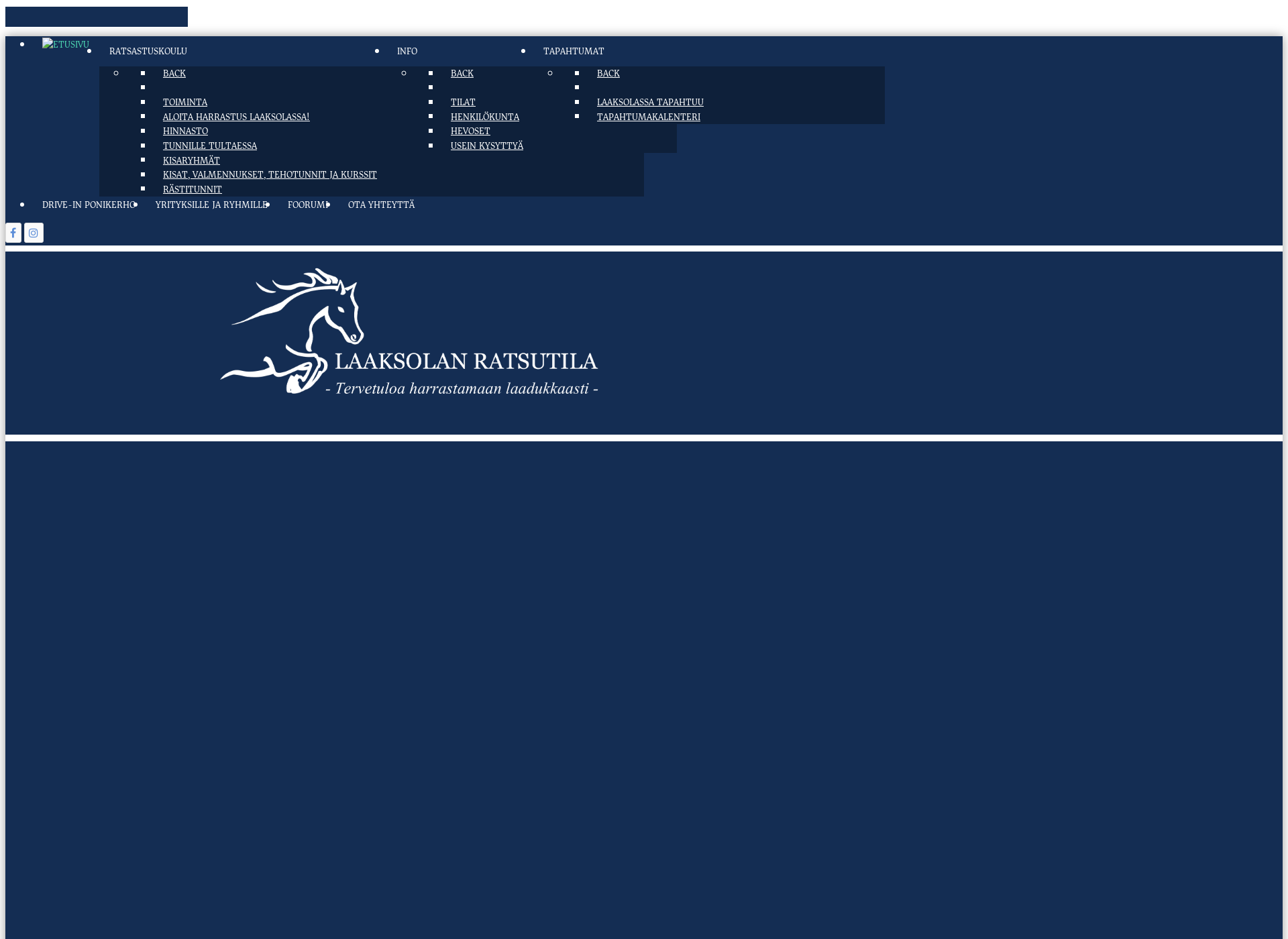 Screenshot for laaksola.fi