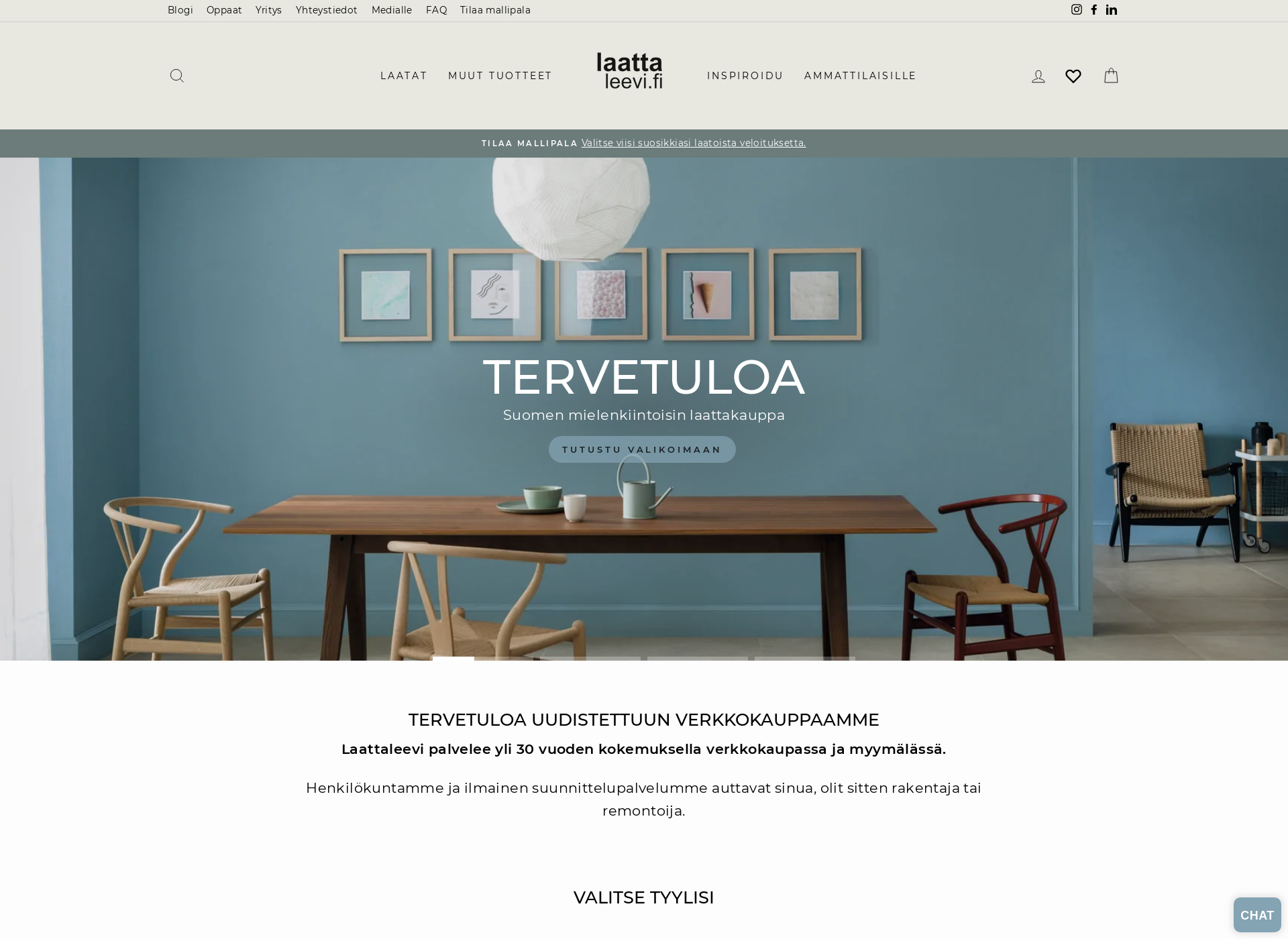 Skärmdump för laattaleevi.fi