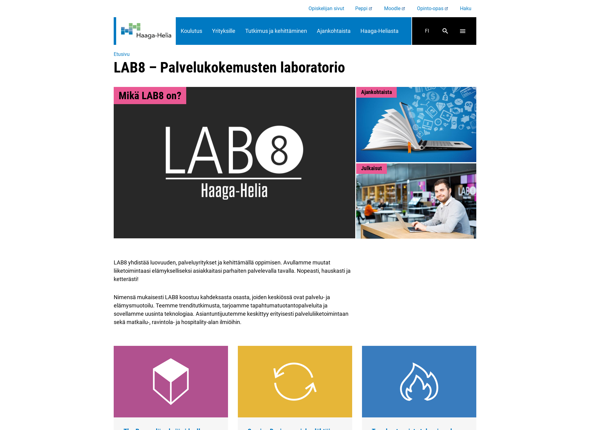 Skärmdump för lab8.fi