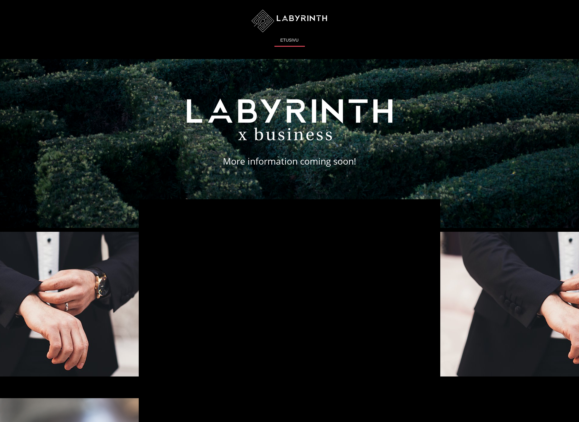 Screenshot for labyrinthfinland.fi