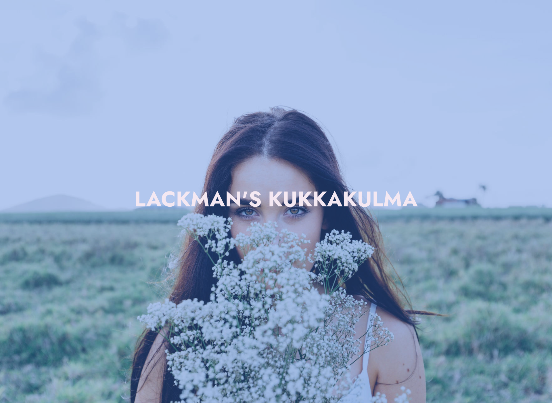 Screenshot for lackmans.fi