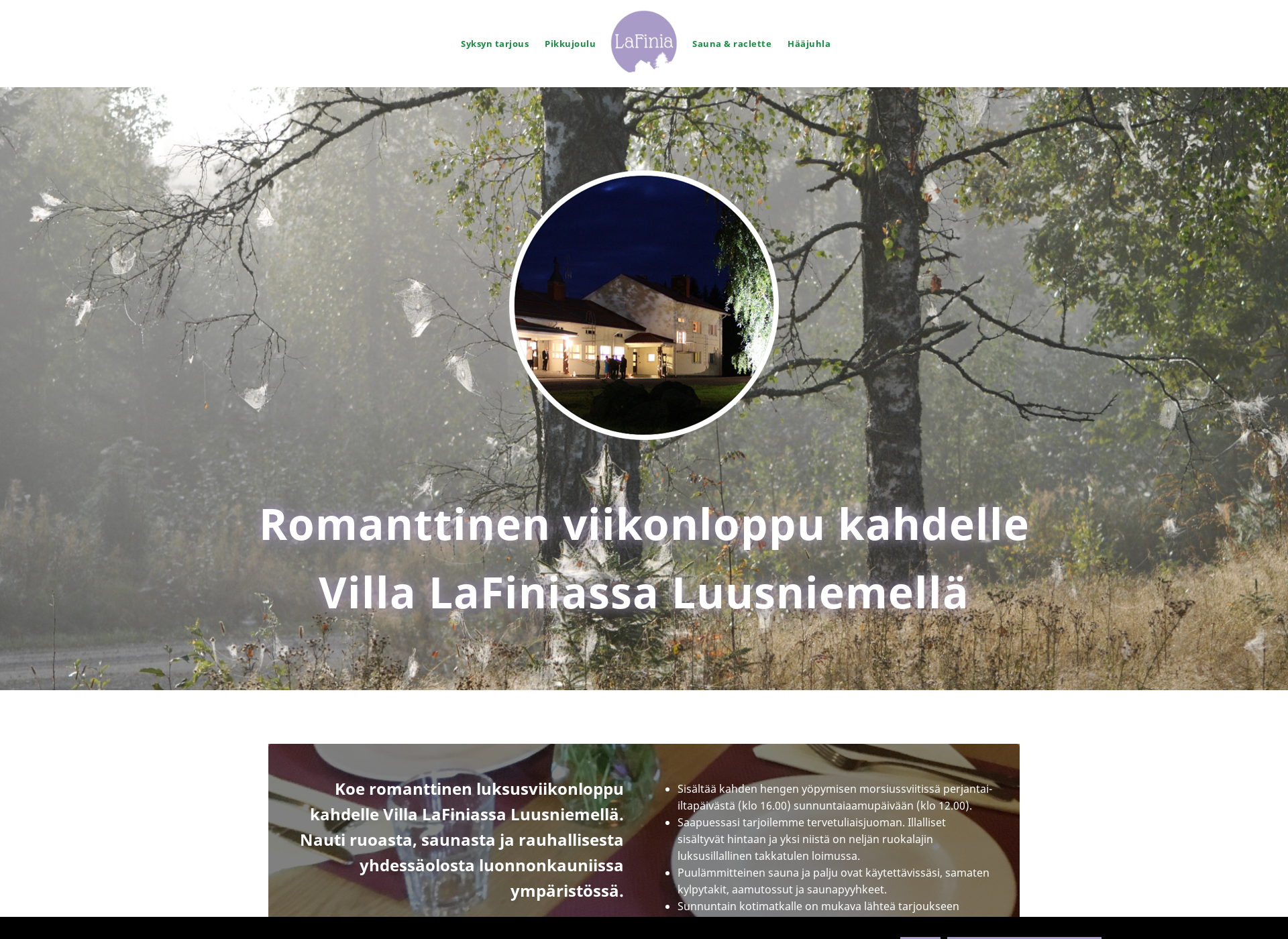 Skärmdump för lafinia.fi