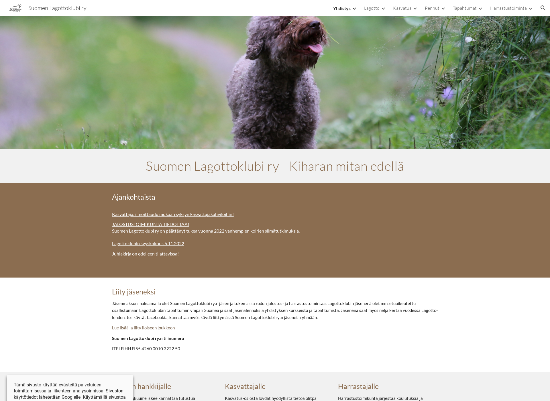 Screenshot for lagottoromagnolo.fi