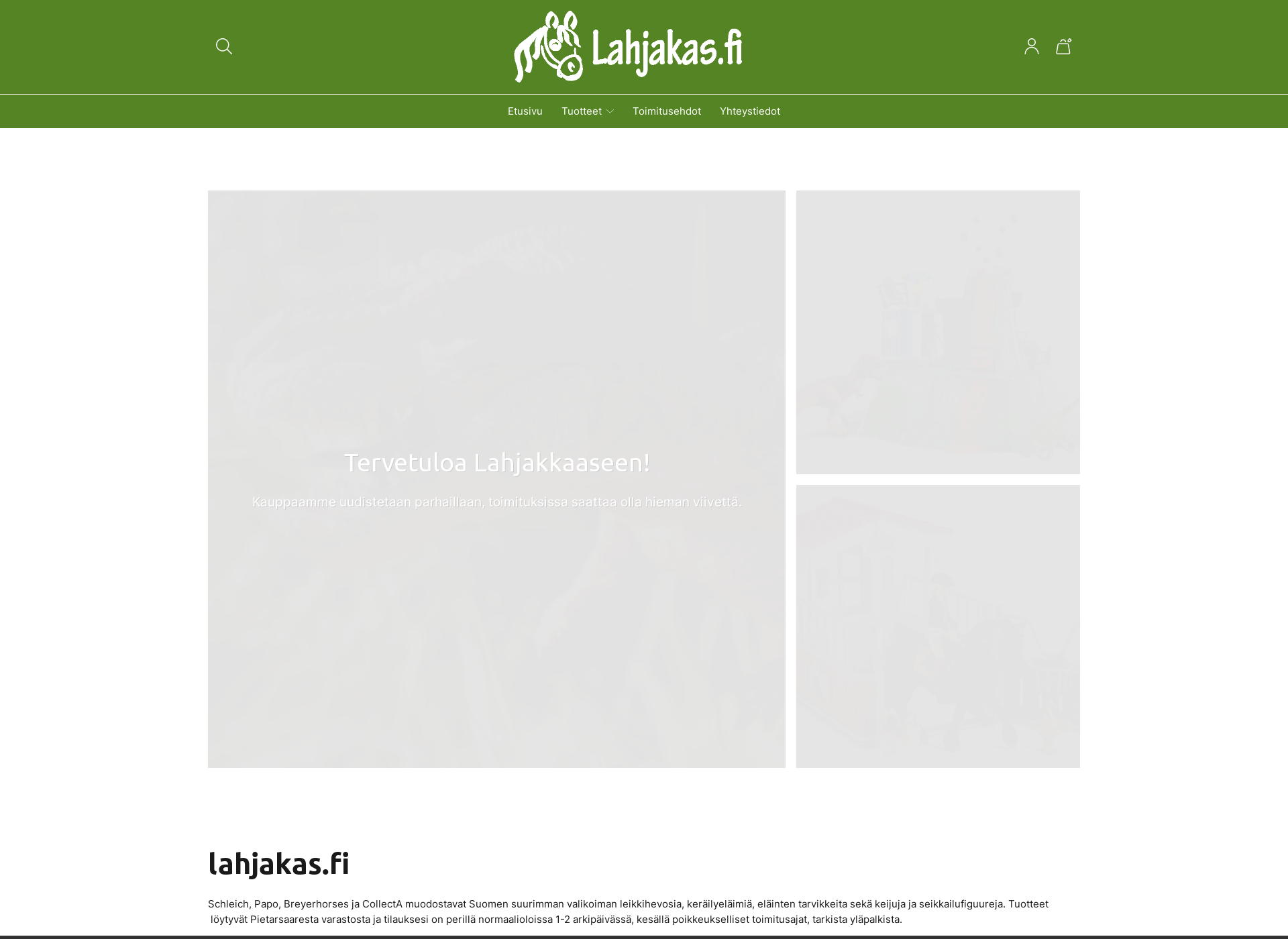 Screenshot for lahjakas.fi