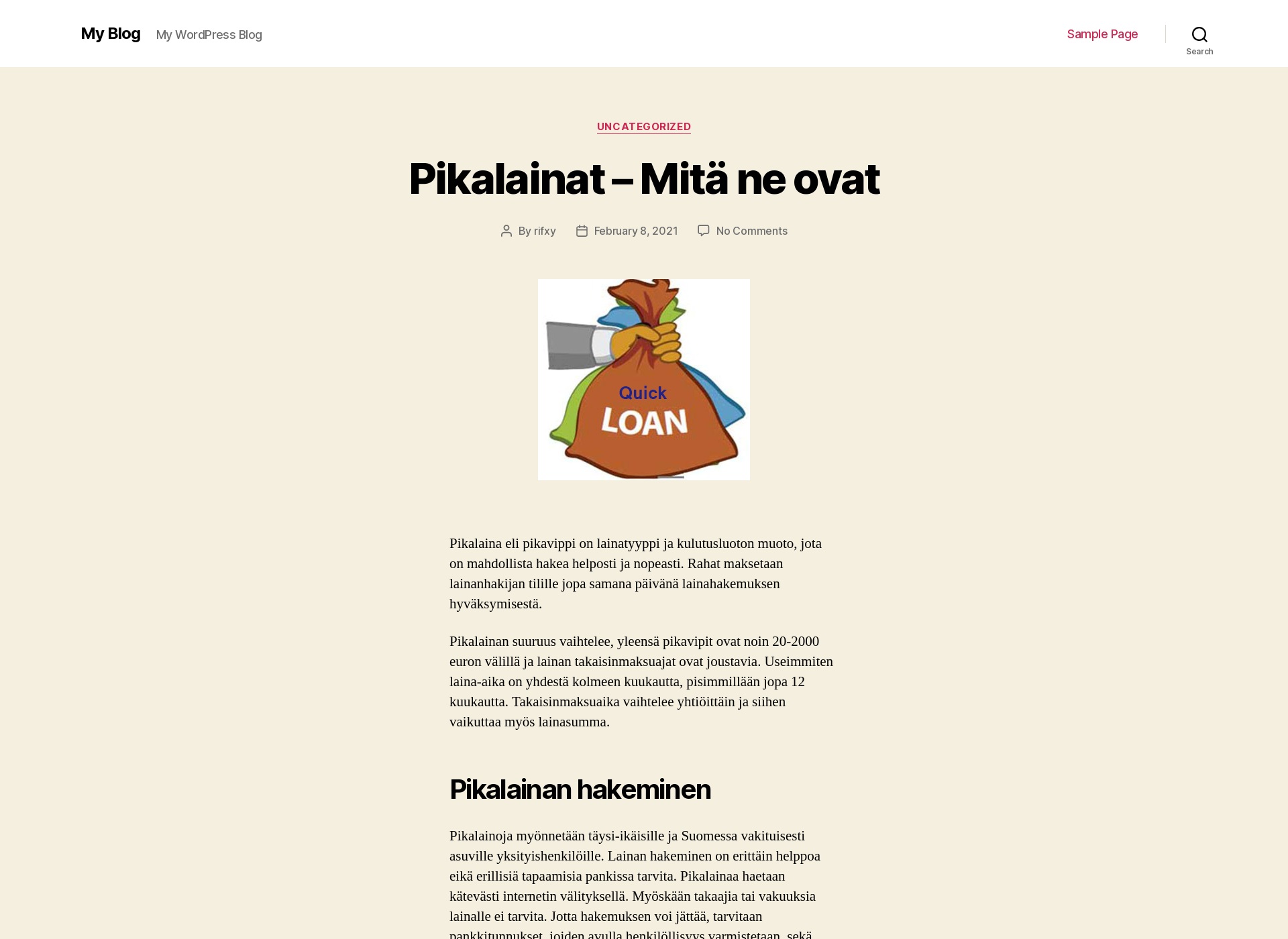 Skärmdump för lainaneuvoja.fi