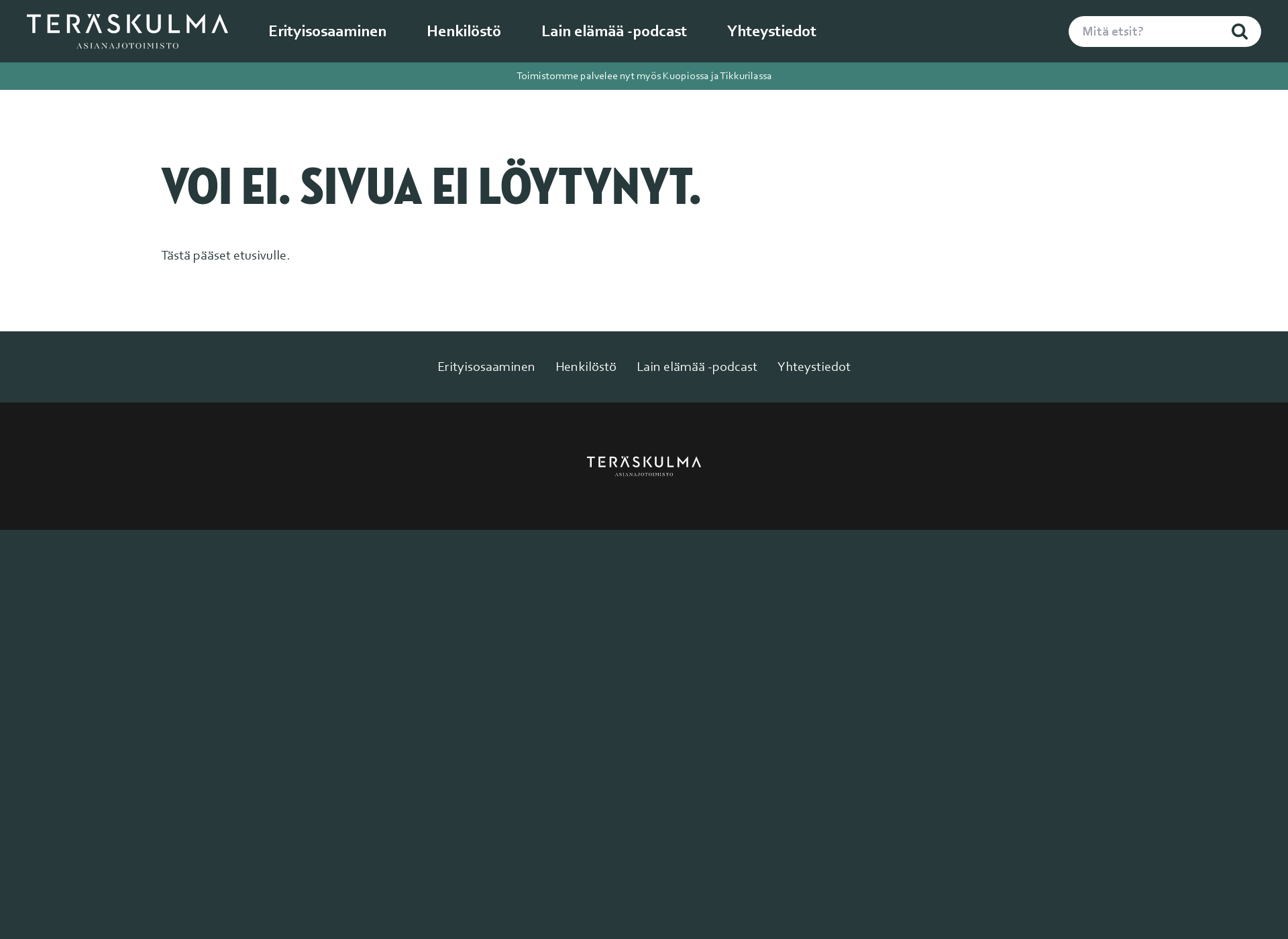 Screenshot for lainelamaa.fi