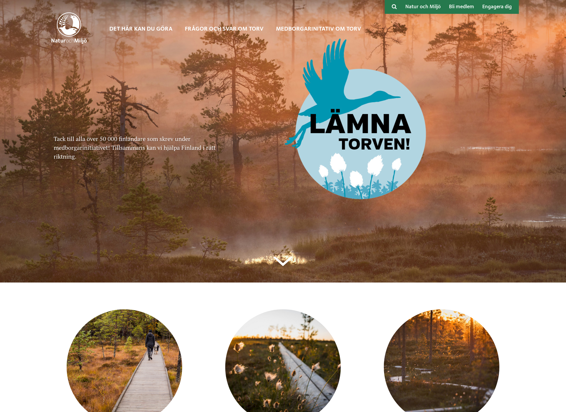 Skärmdump för lamnatorven.fi