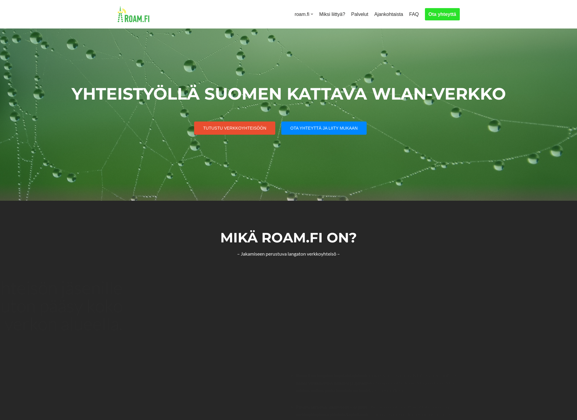 Skärmdump för langatonyritys.fi