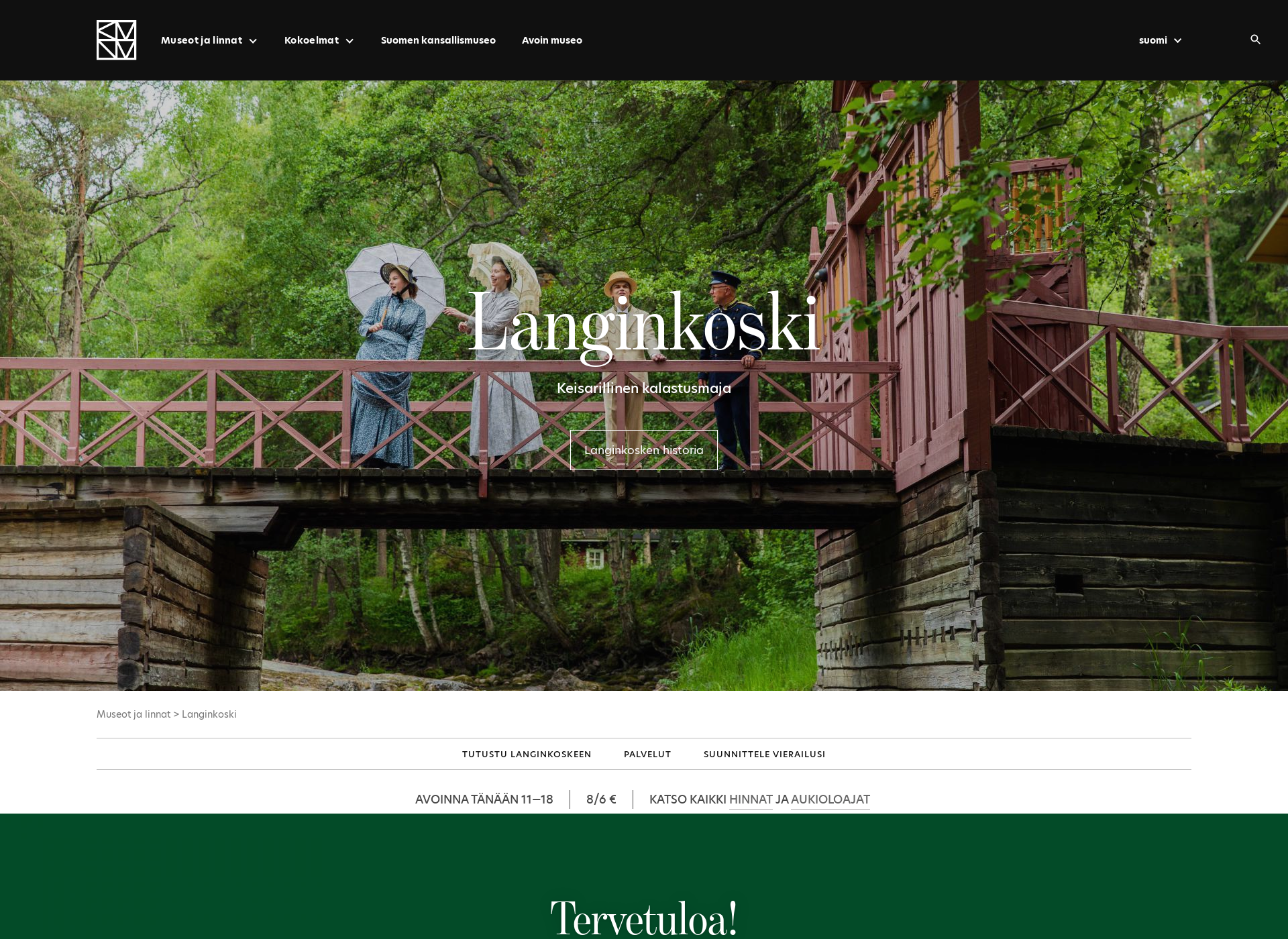 Screenshot for langinkoski.fi