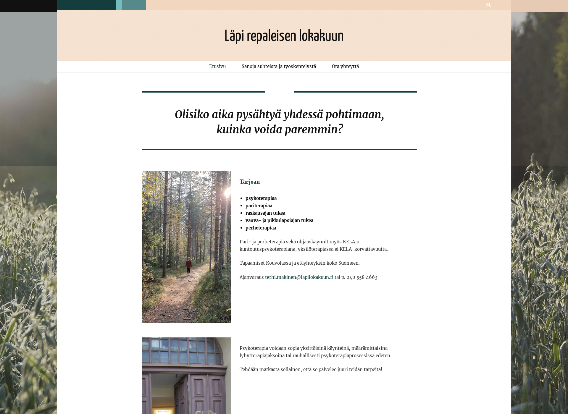 Skärmdump för lapilokakuun.fi