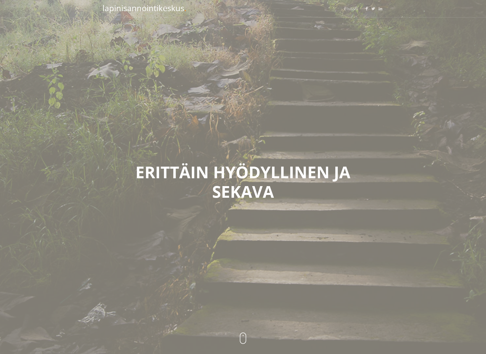 Skärmdump för lapinisannointikeskus.fi