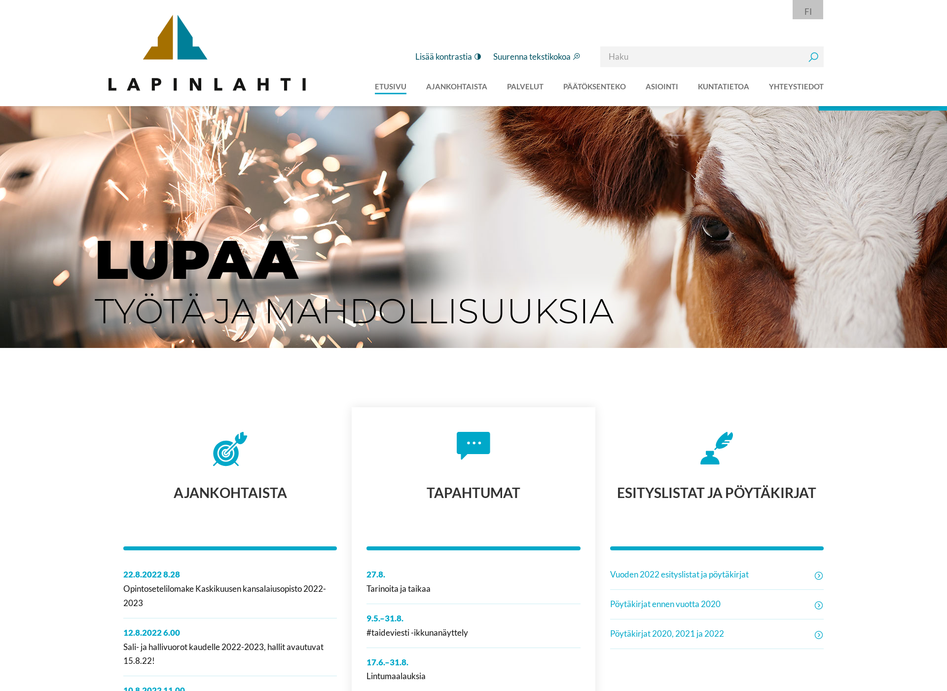 Screenshot for lapinlahti.fi
