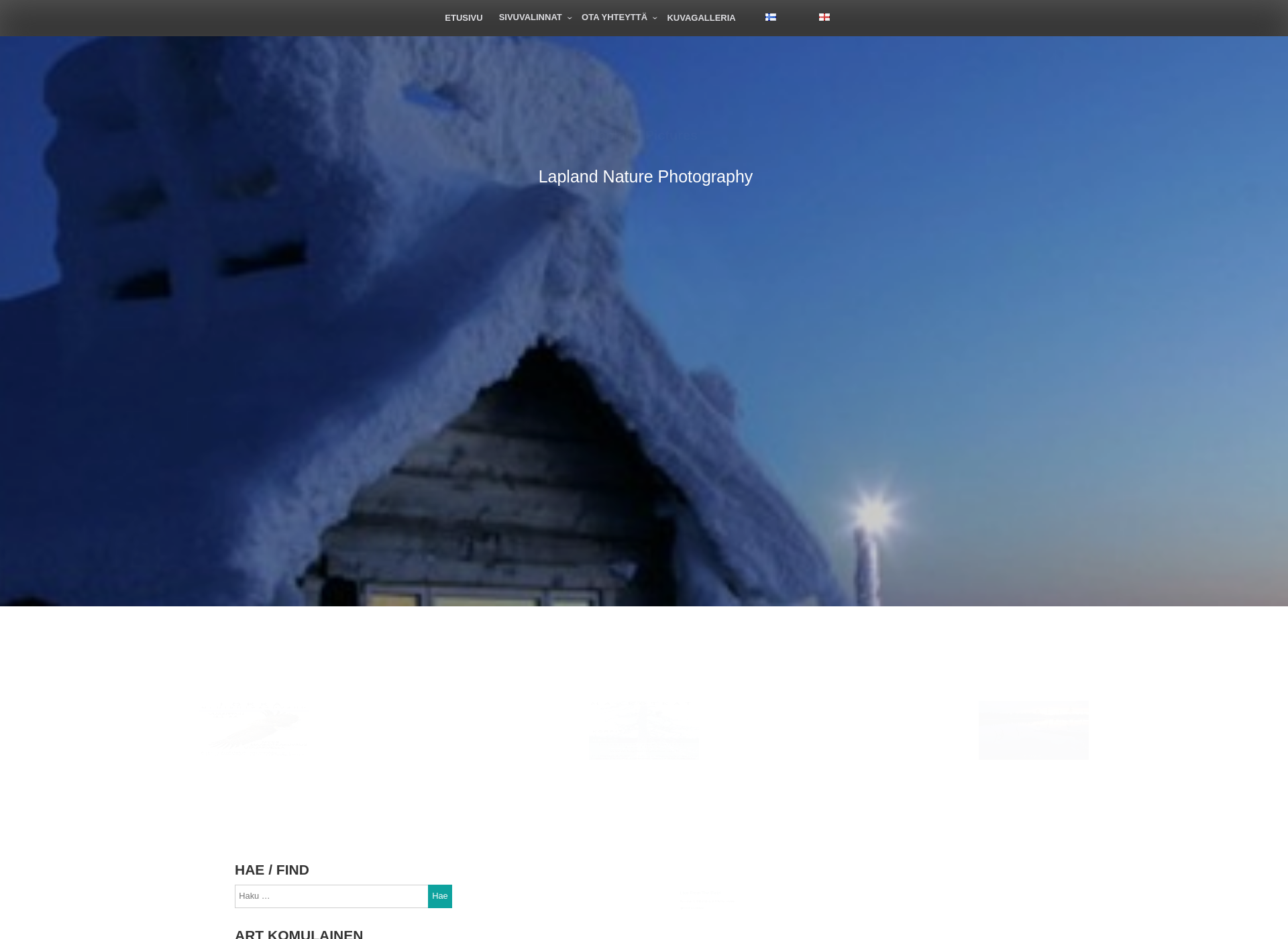 Screenshot for laplandpictures.fi