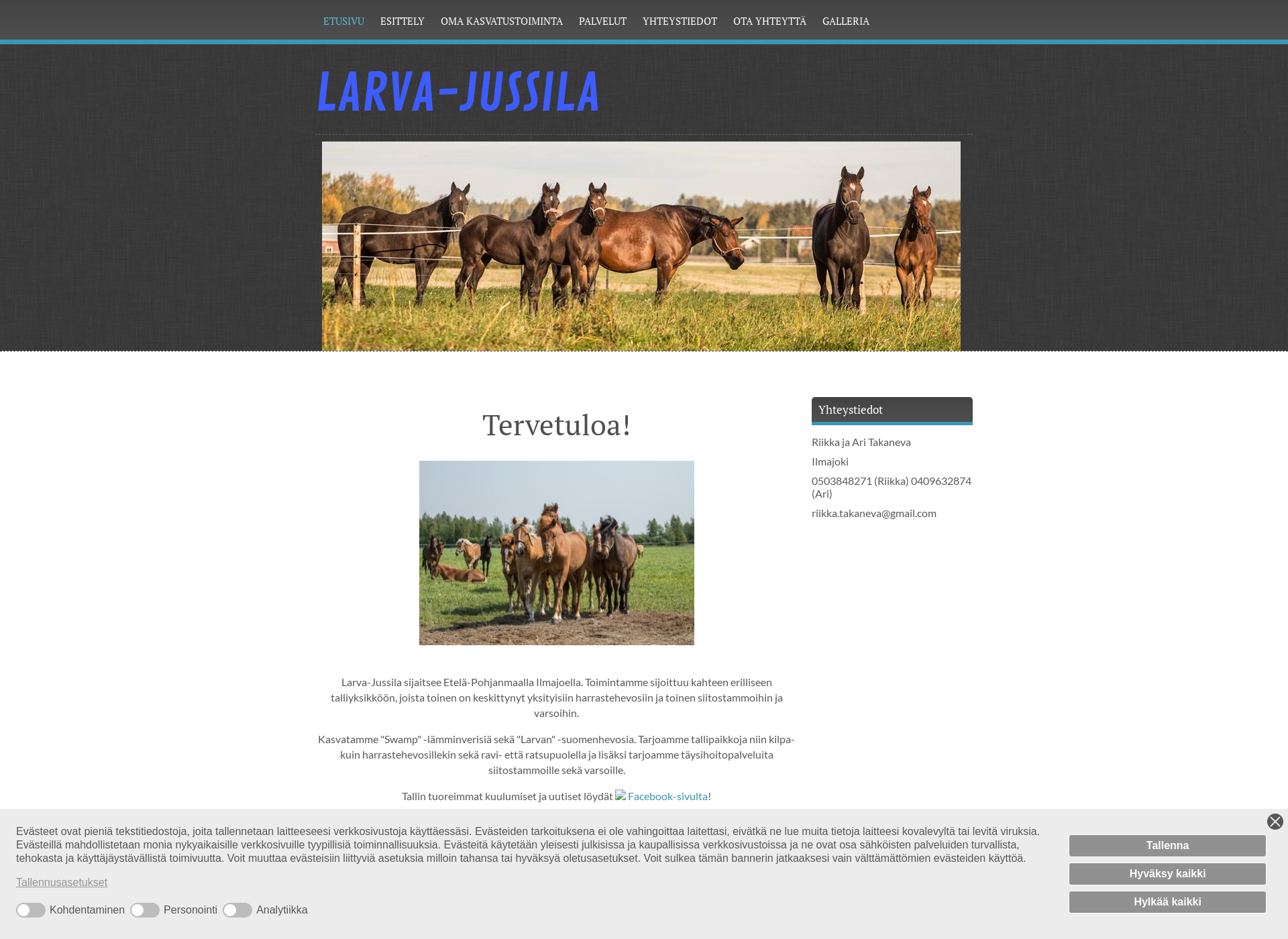 Screenshot for larvajussila.fi
