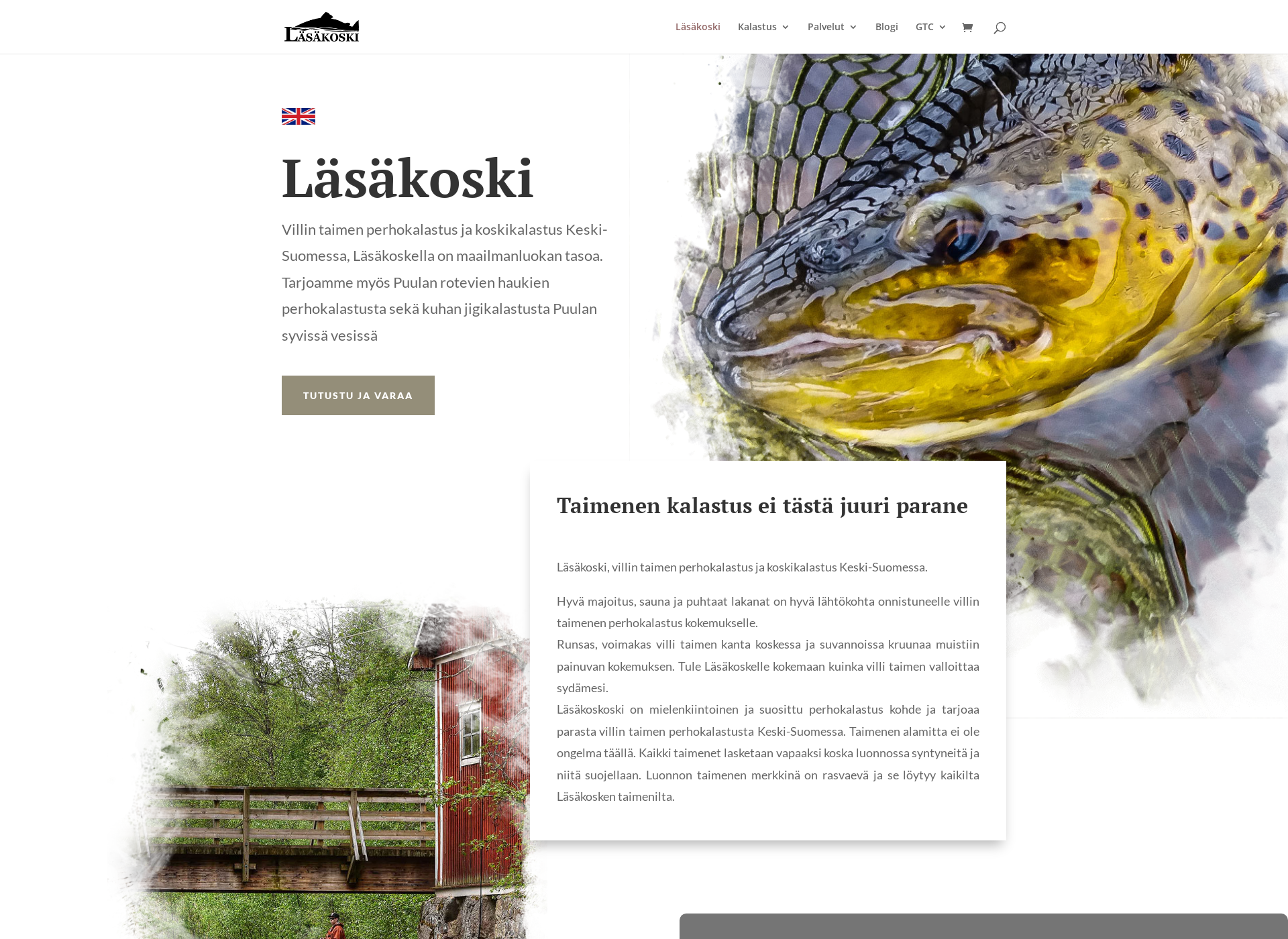 Skärmdump för lasakoski.fi
