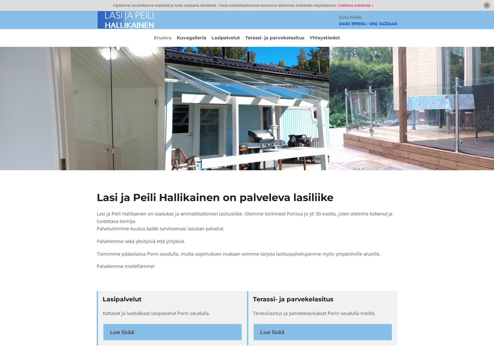 Screenshot for lasijapeilihallikainen.fi