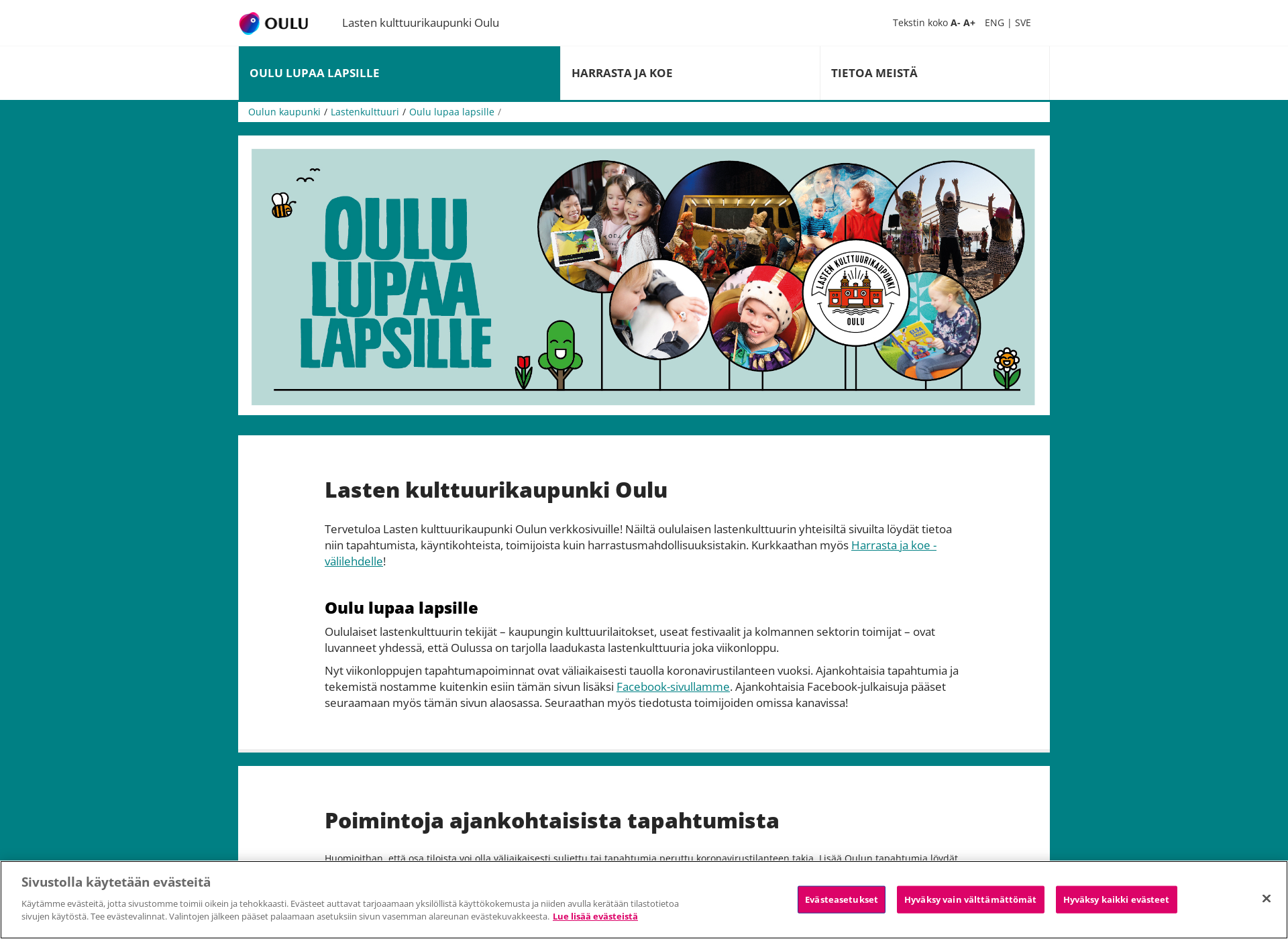 Screenshot for lastenkulttuurioulu.fi
