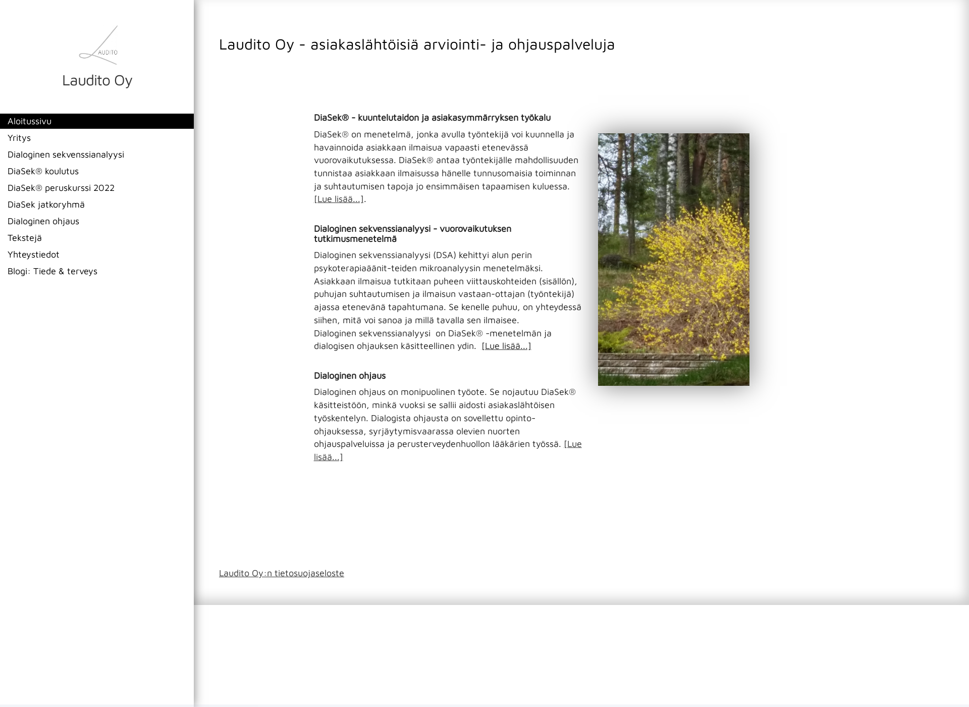 Screenshot for laudito.fi