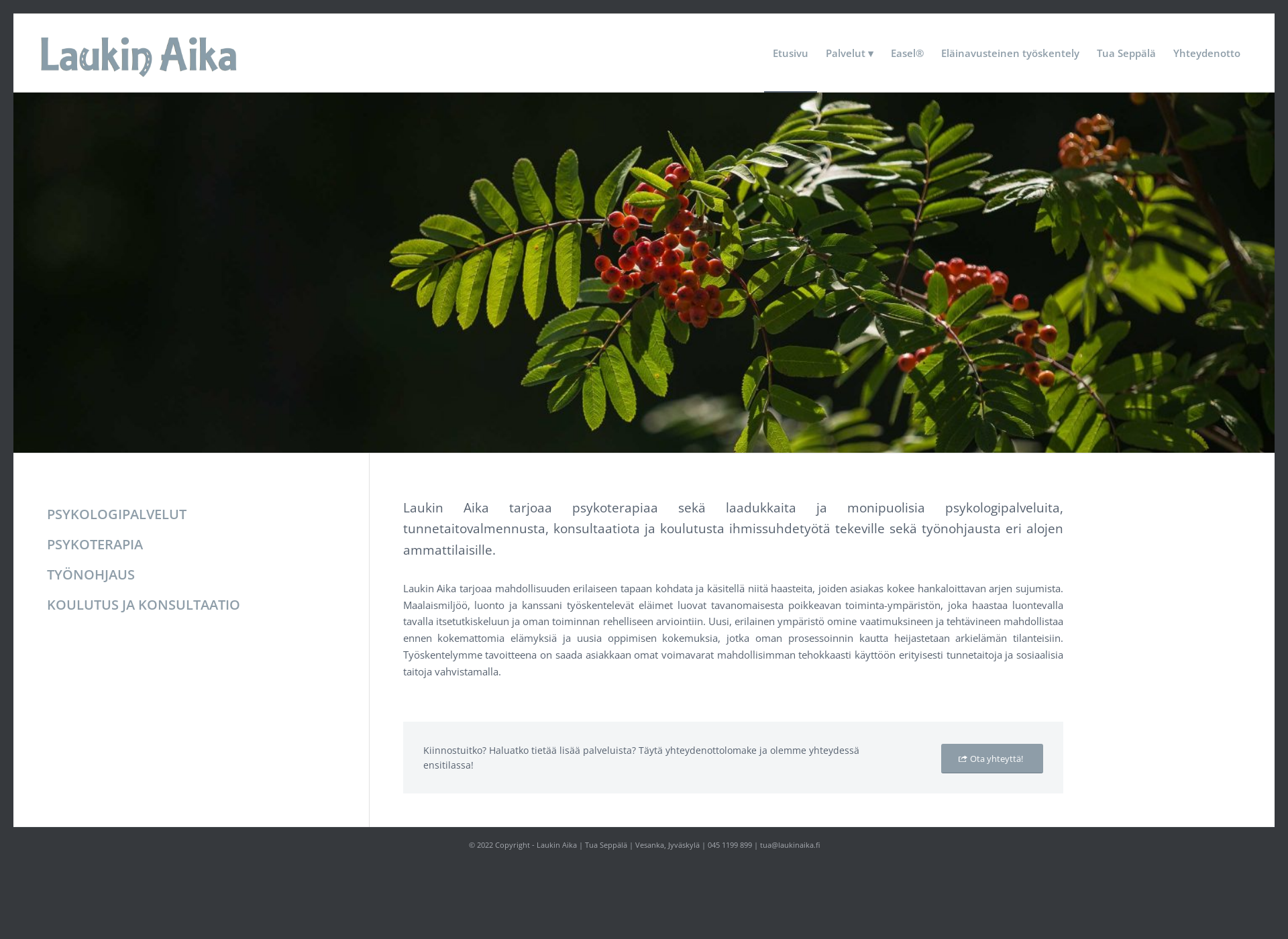Screenshot for laukinaika.fi