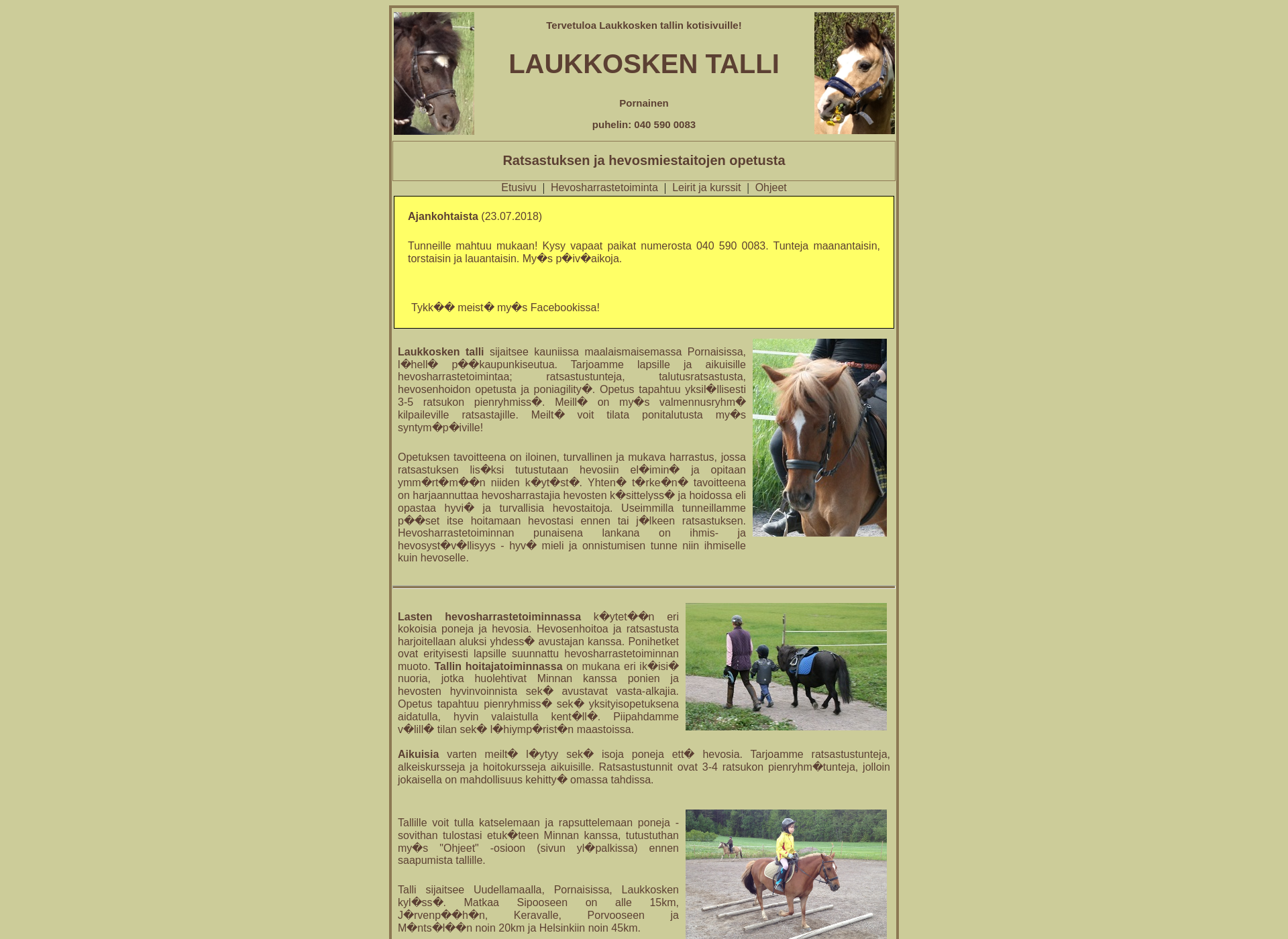 Screenshot for laukkoskentalli.fi