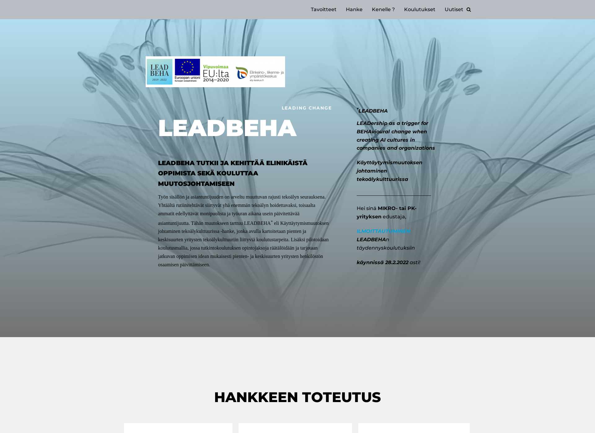 Skärmdump för leadbeha.fi