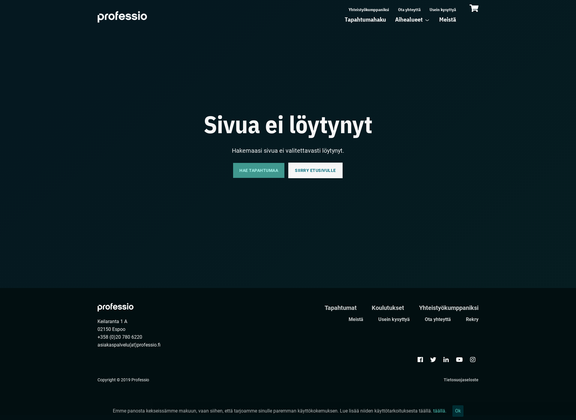Screenshot for leansairaala.fi
