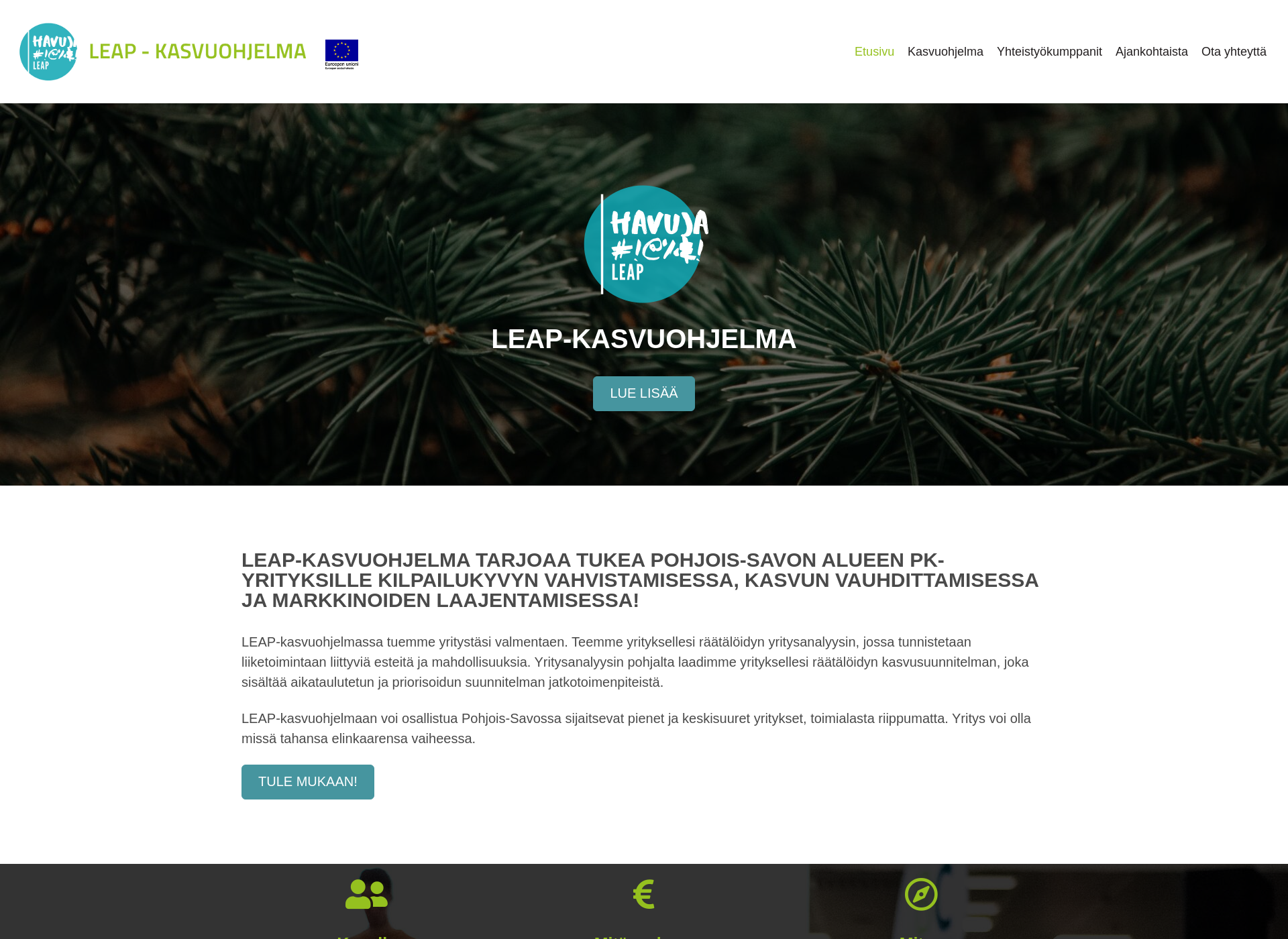 Screenshot for leapkasvuohjelma.fi