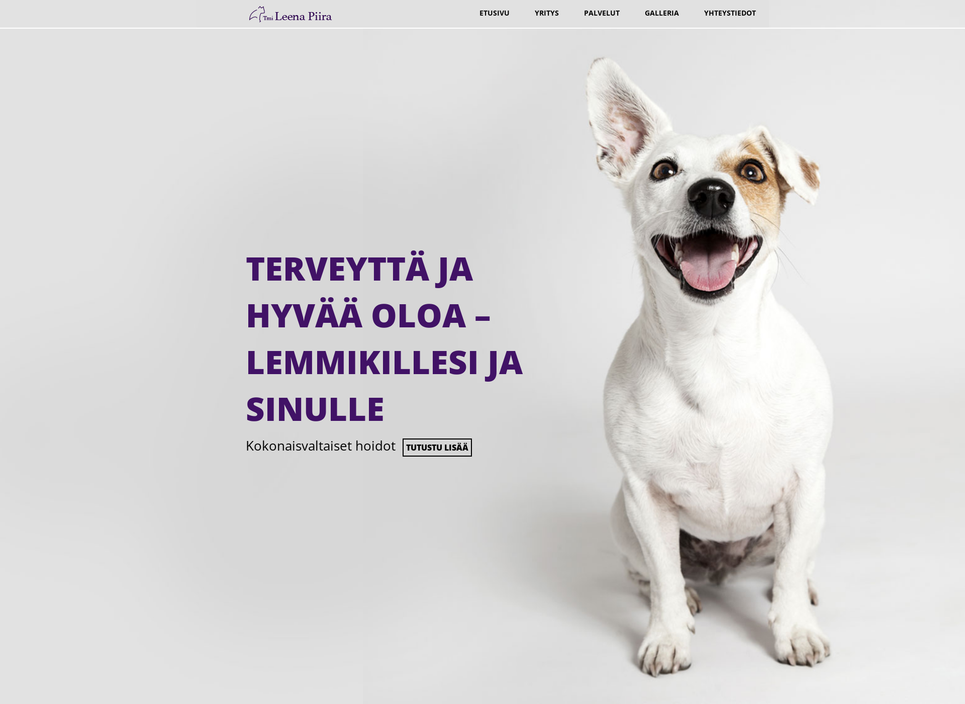 Screenshot for leenapiira.fi