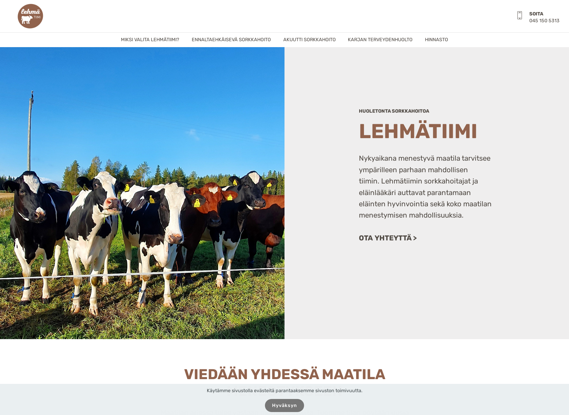 Skärmdump för lehmatiimi.fi