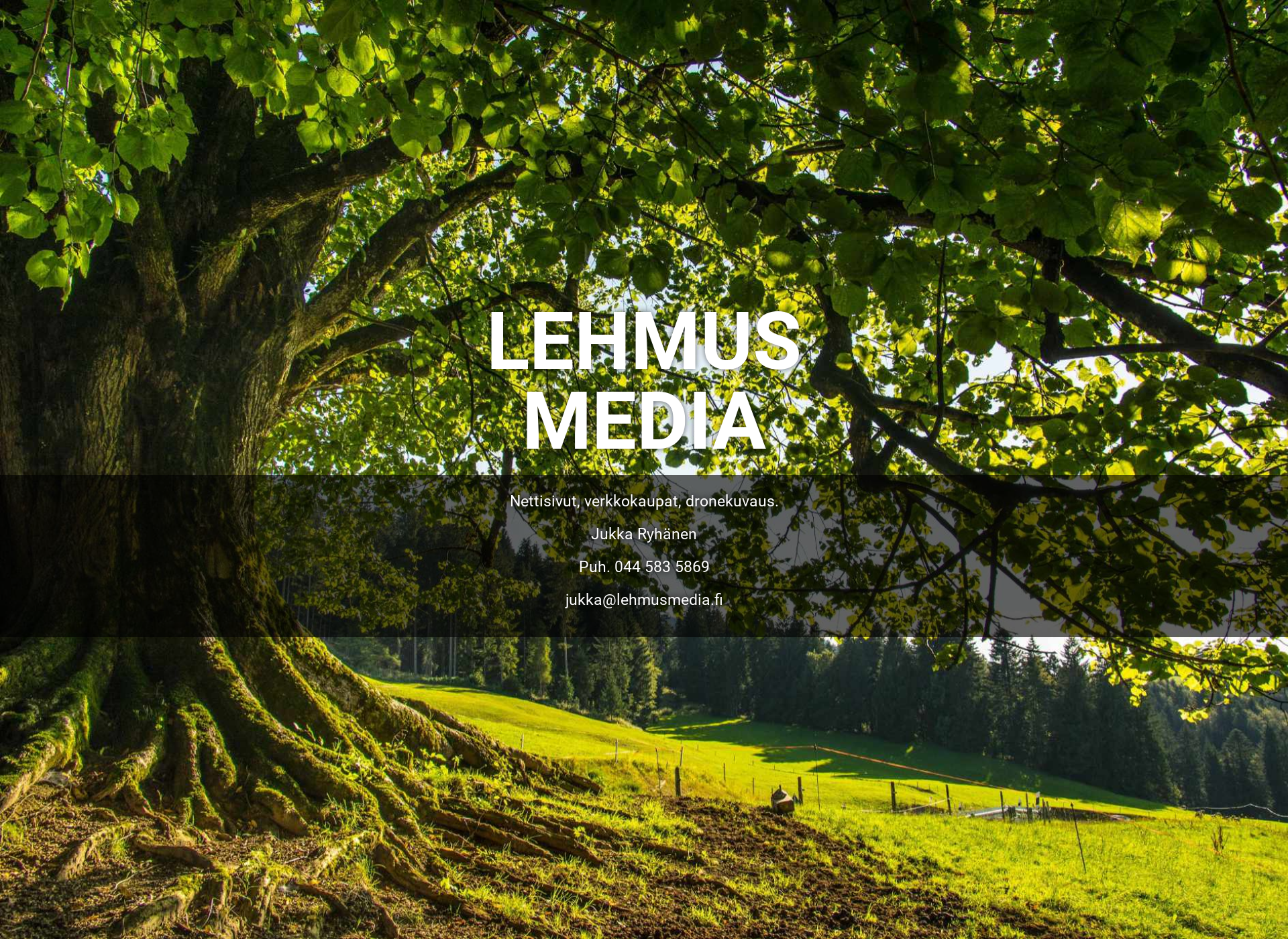Screenshot for lehmusmedia.fi