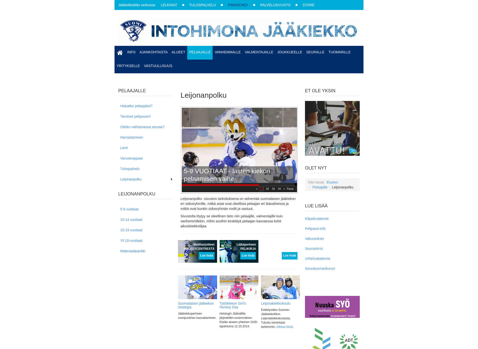 Screenshot for leijonanpolku.fi