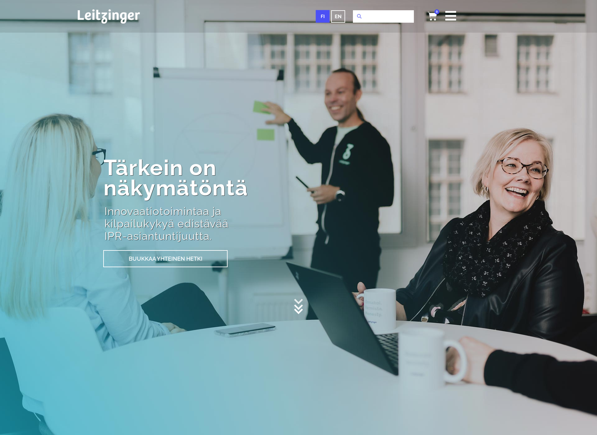 Skärmdump för leitzinger.fi