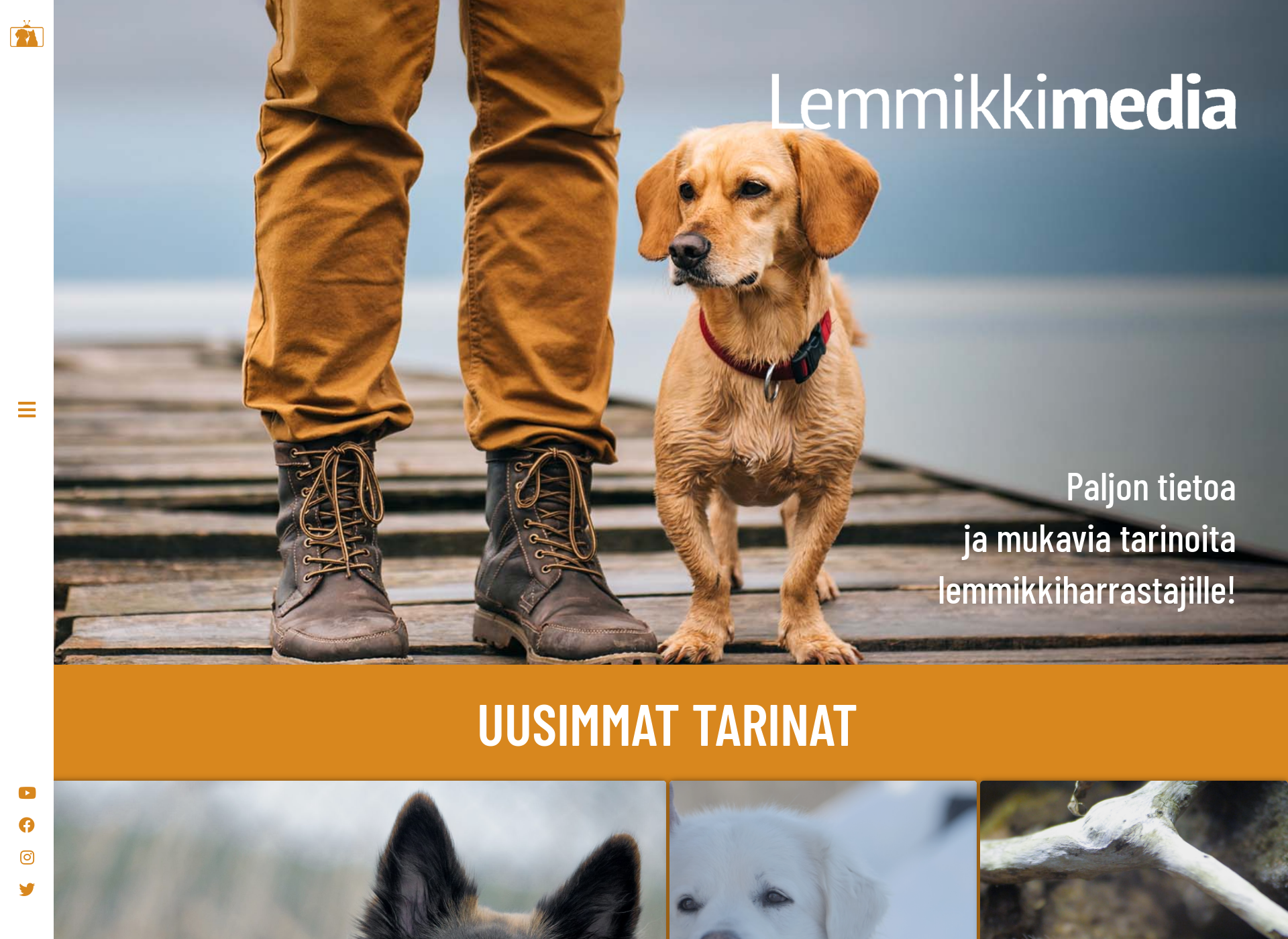 Screenshot for lemmikkimedia.fi