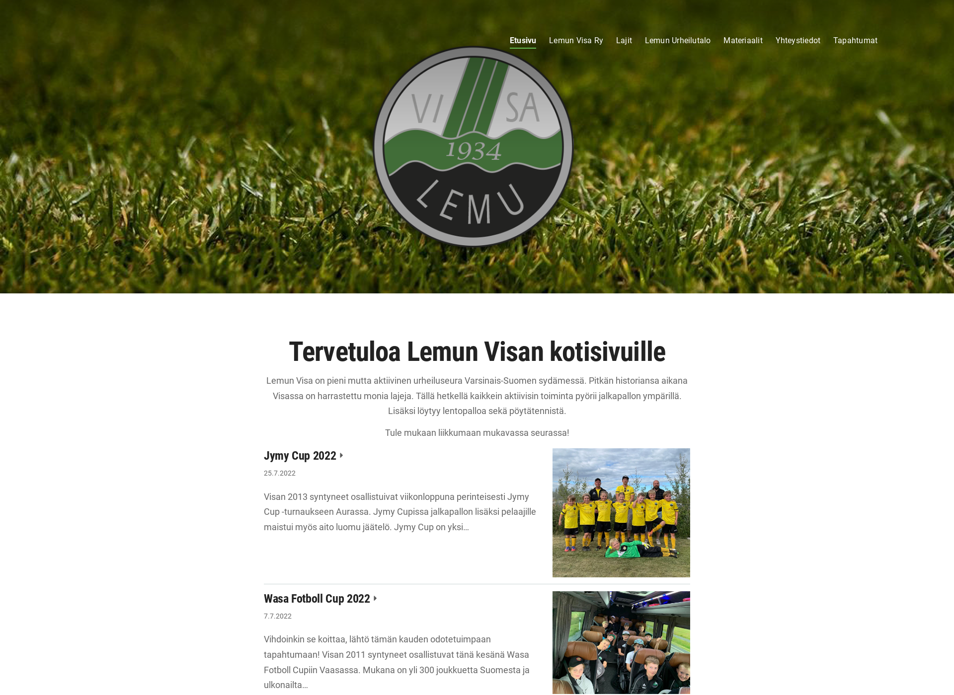 Screenshot for lemunvisa.fi