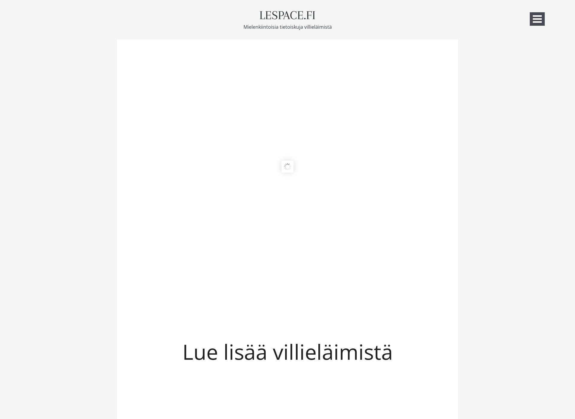 Skärmdump för lespace.fi