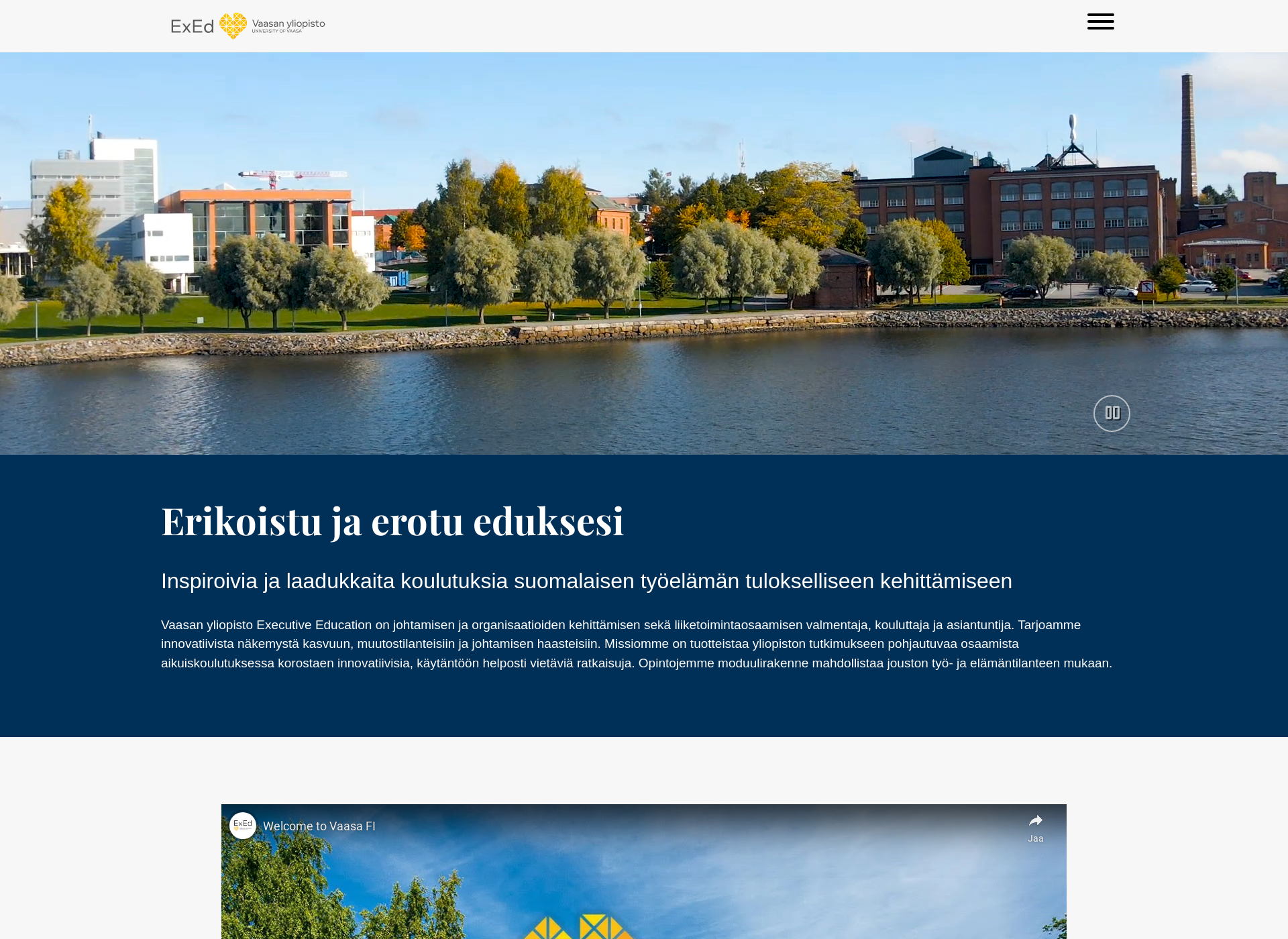 Skärmdump för levoninstituutti.fi