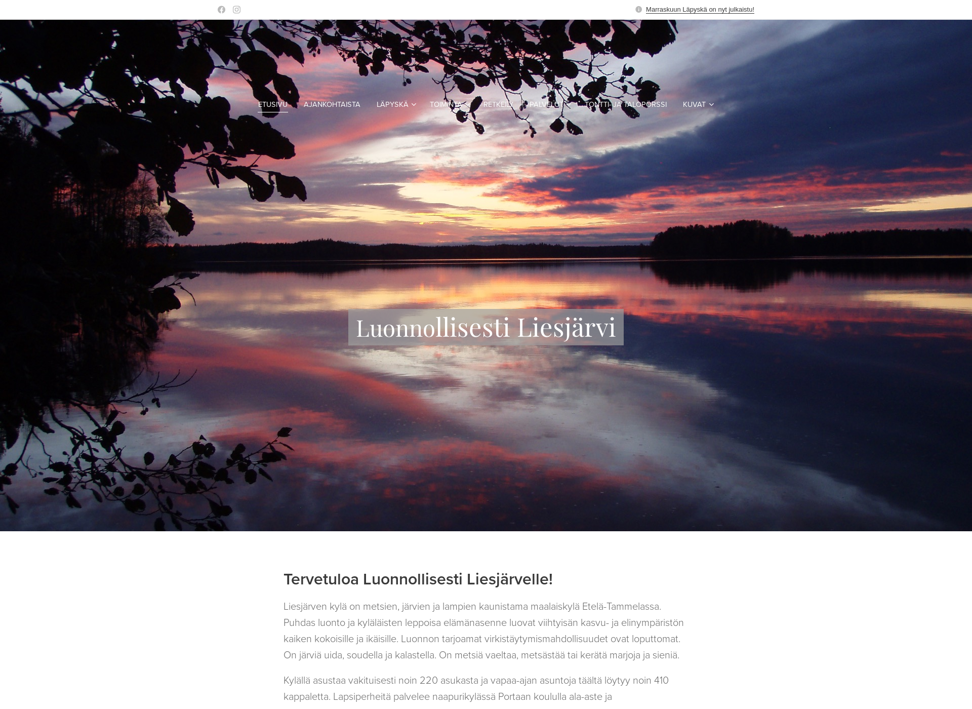 Screenshot for liesjarvi.fi