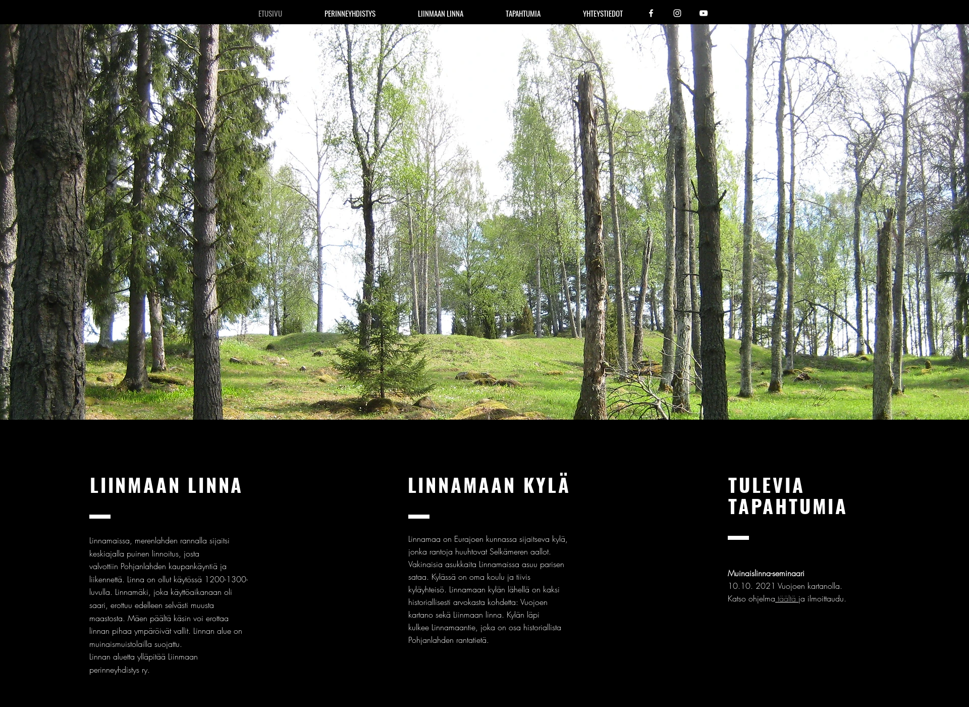 Screenshot for liinmaa.fi