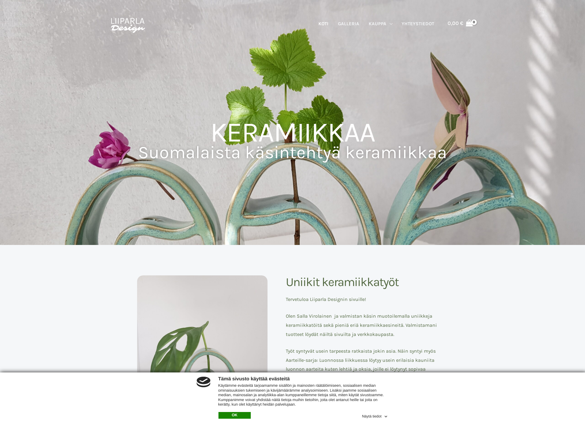 Skärmdump för liiparladesign.fi