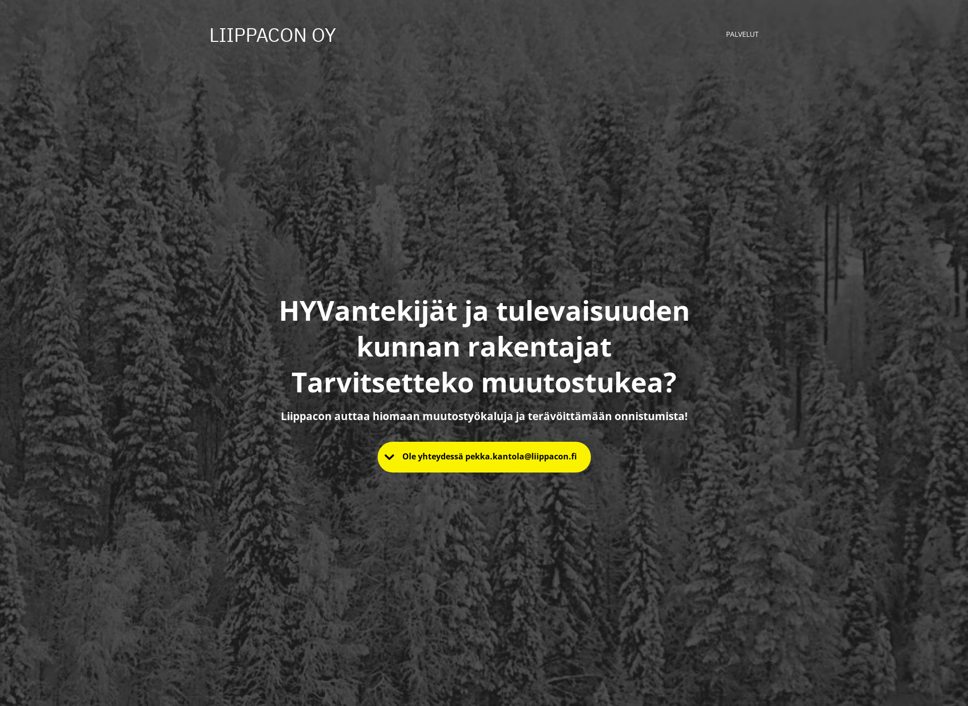 Skärmdump för liippacon.fi