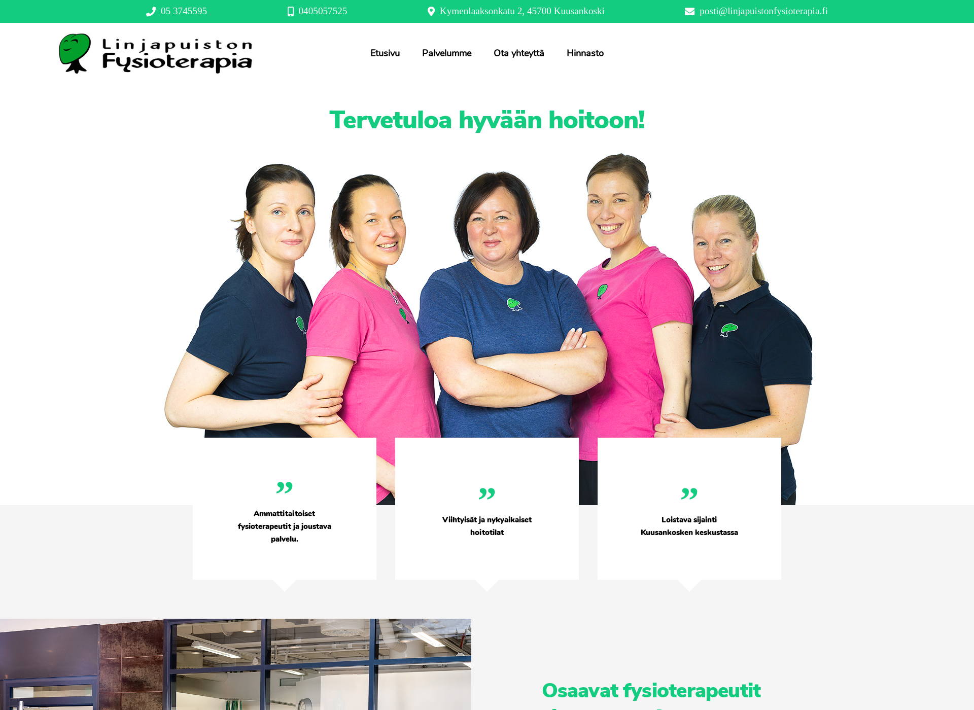 Skärmdump för linjapuistonfysioterapia.fi