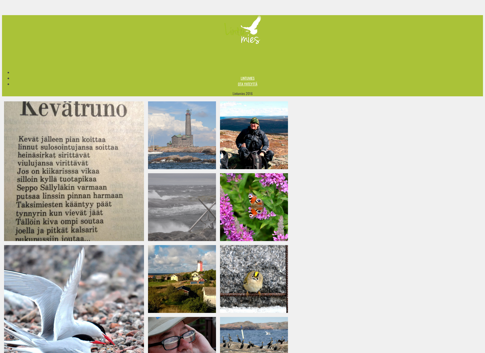 Screenshot for lintumies.fi