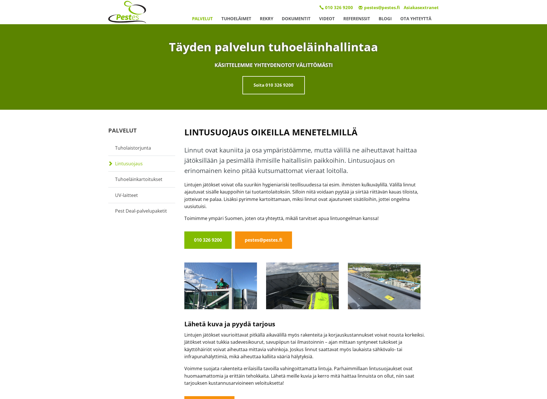 Screenshot for lintusuojaus.fi