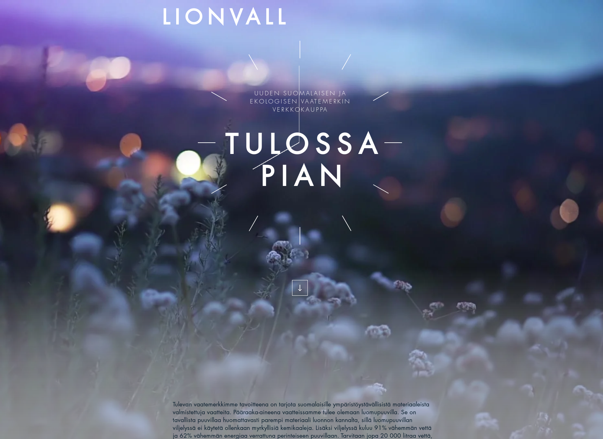 Screenshot for lionvall.com