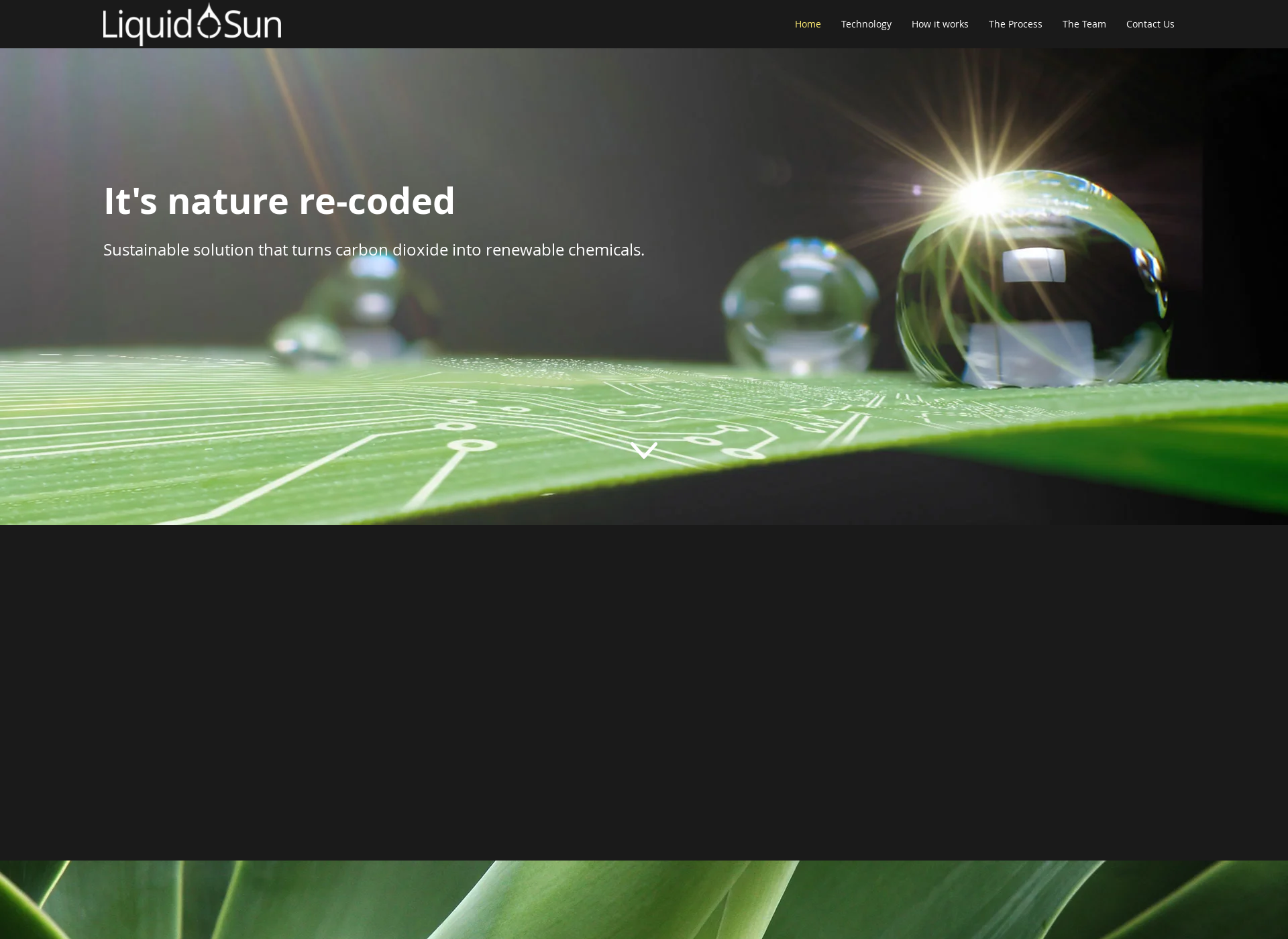 Screenshot for liquidsun.fi