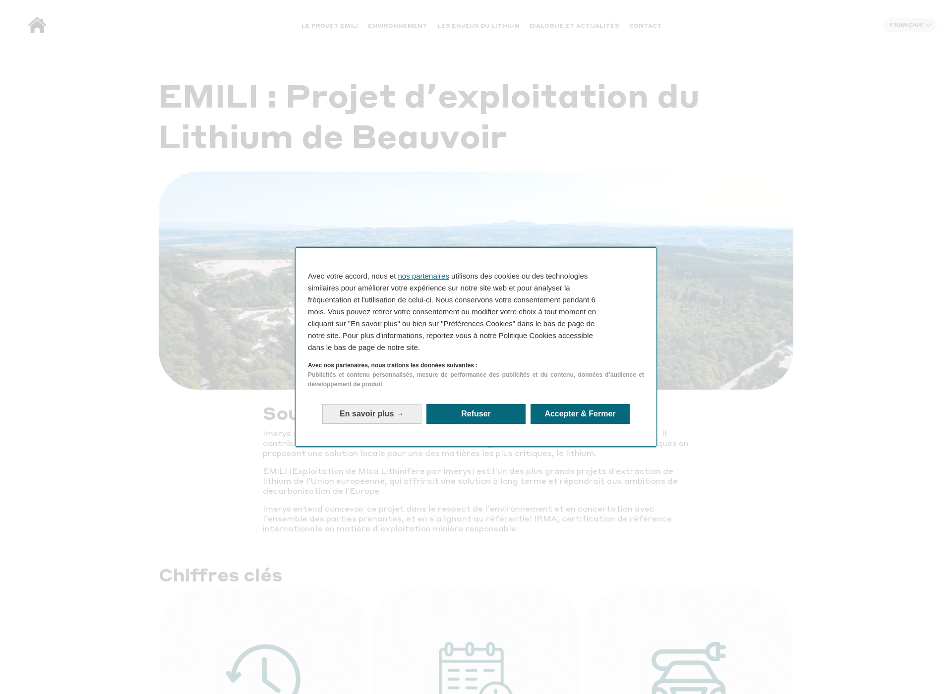 Screenshot for lithium-beauvoir.fi