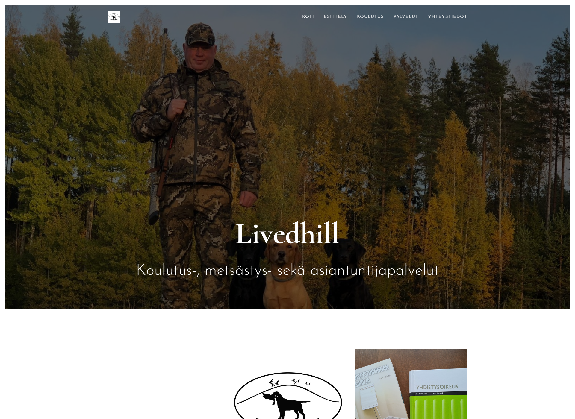 Screenshot for livedhill.fi