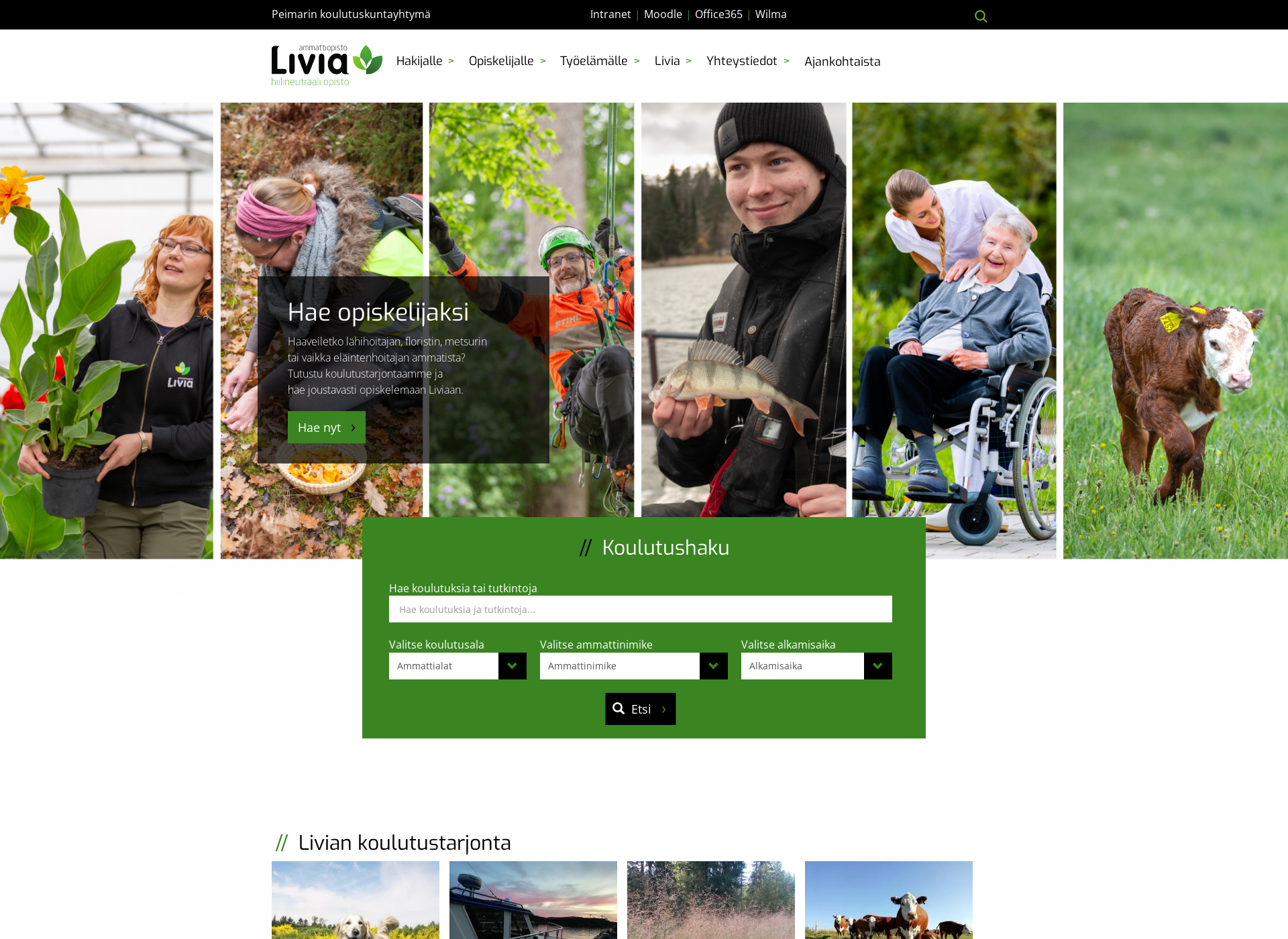 Screenshot for livia.fi