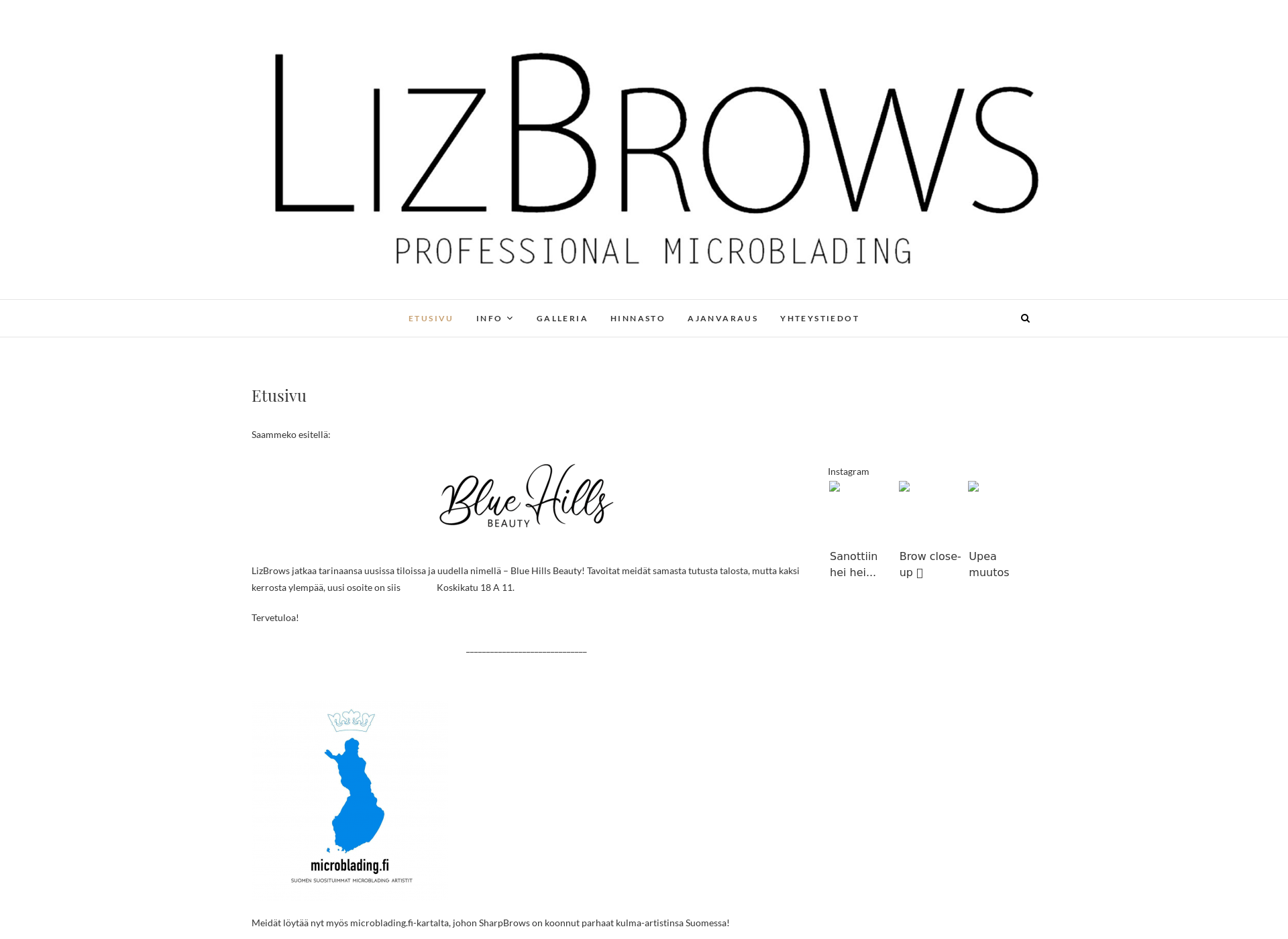 Screenshot for lizbrows.fi